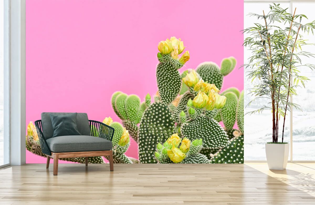 Oeganda zwaar Piepen Vrolijke Cactus - Fotobehang