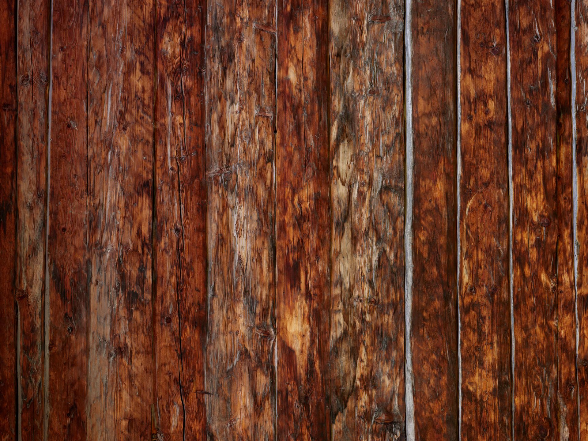 Robuust gebrand hout main product photo