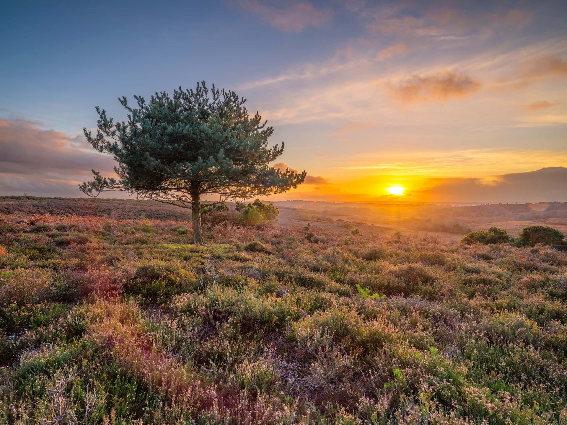 Zonsondergang op de heide main product photo