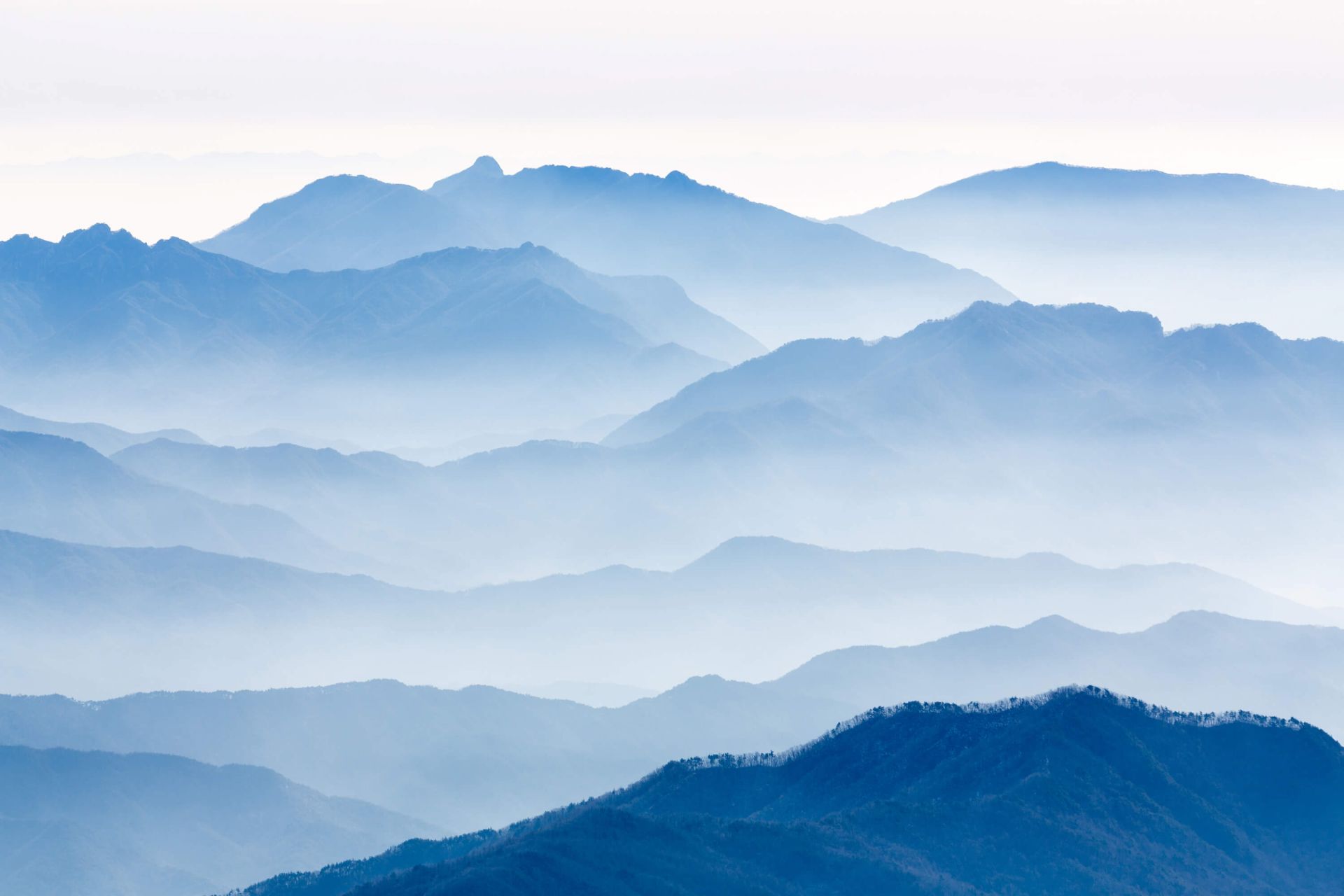 Misty Mountains main product photo