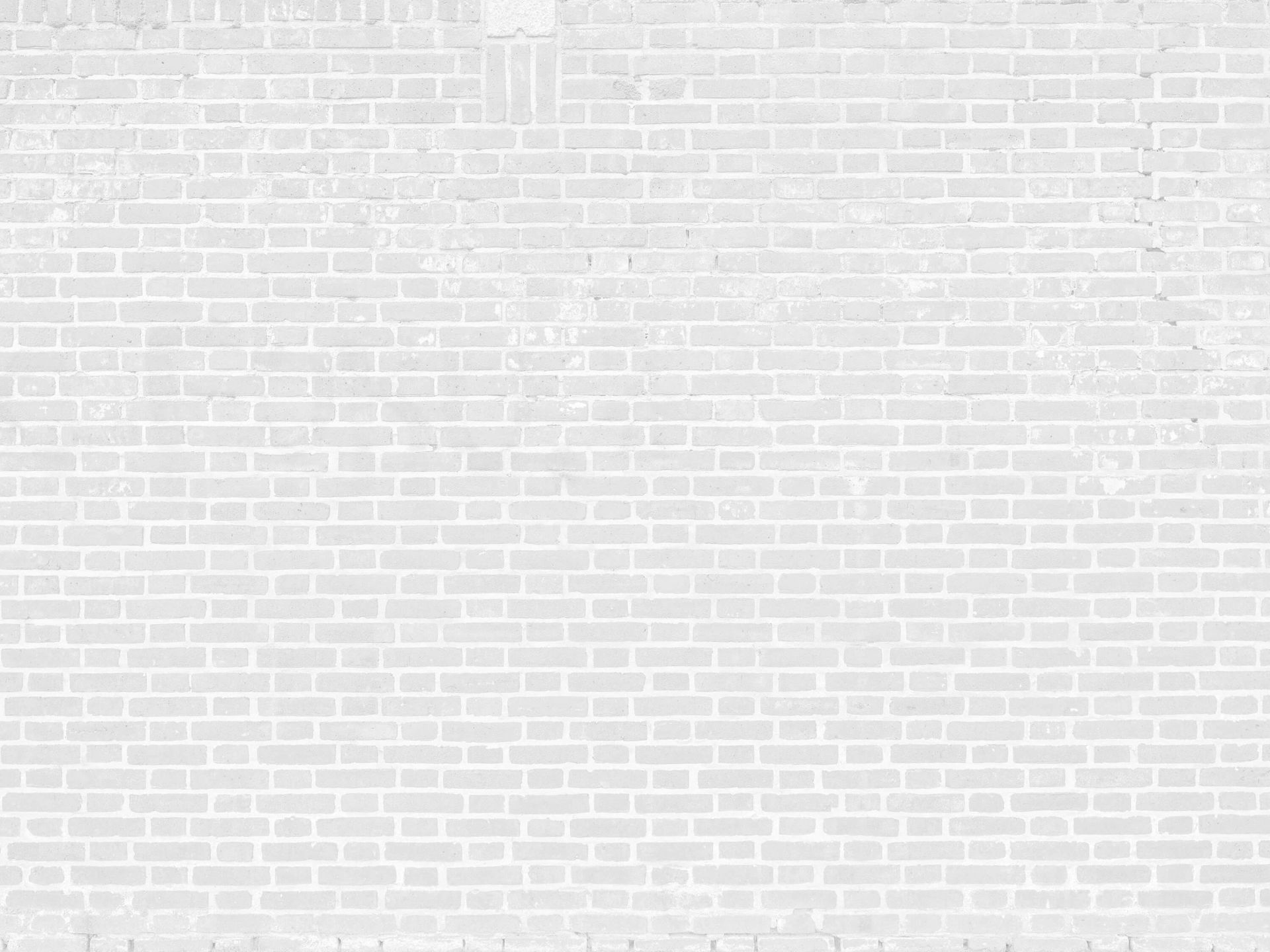 fenomeen Kolibrie Industrieel Witte bakstenen muur - Fotobehang