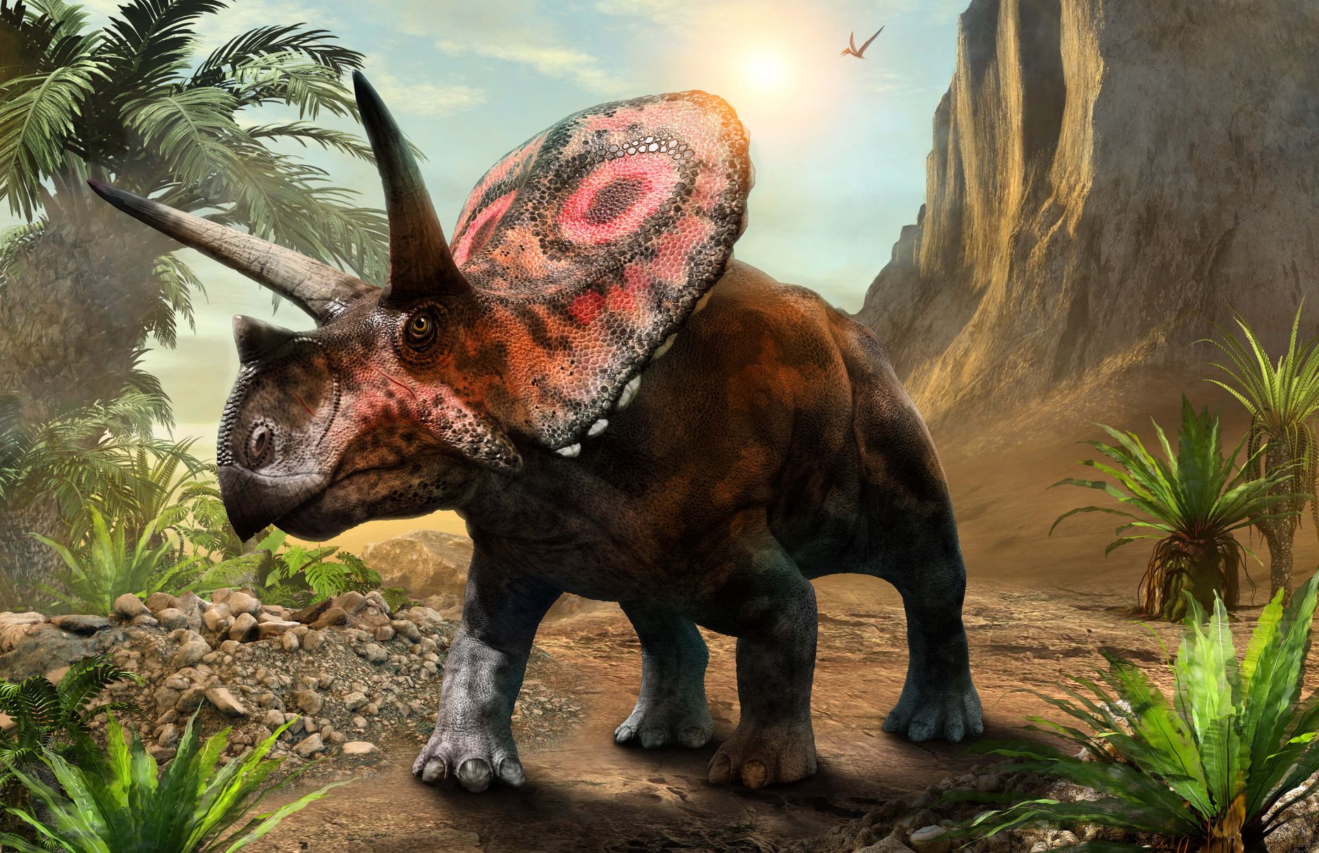 Torosaurus in het bos main product photo