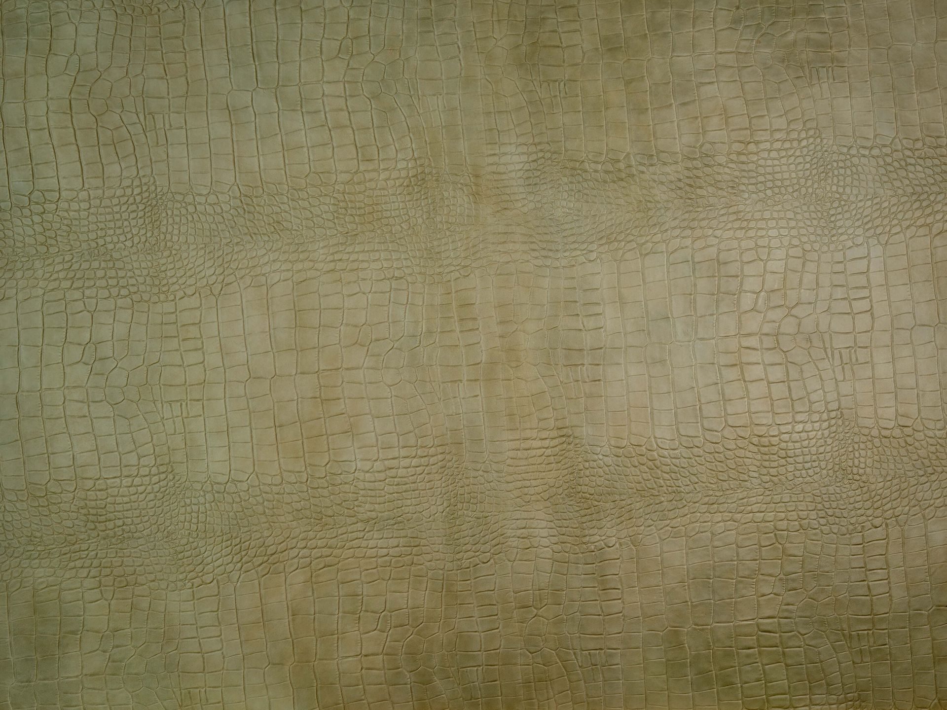 Krokodillenhuid structuur