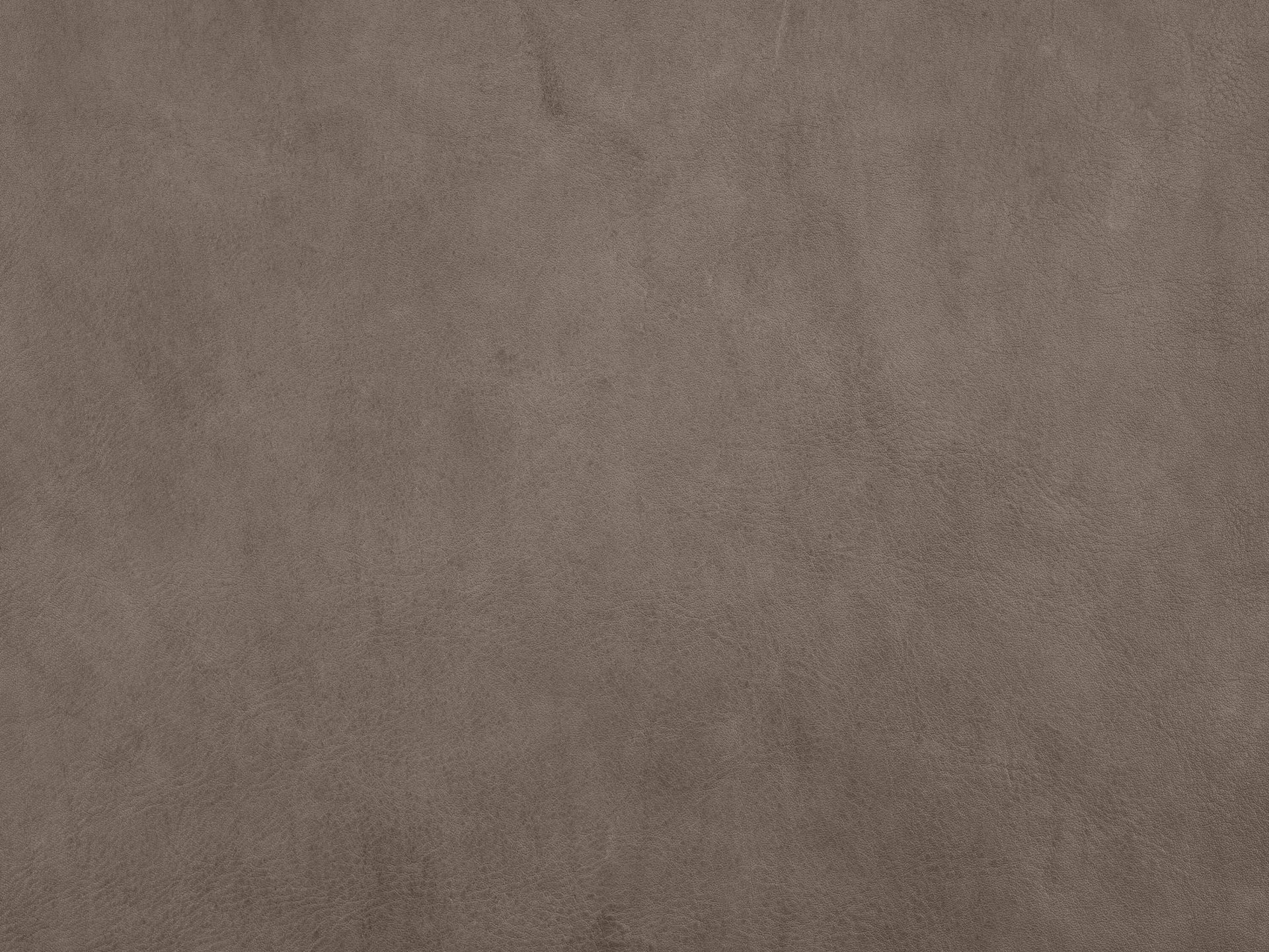 Taupe leder main product photo