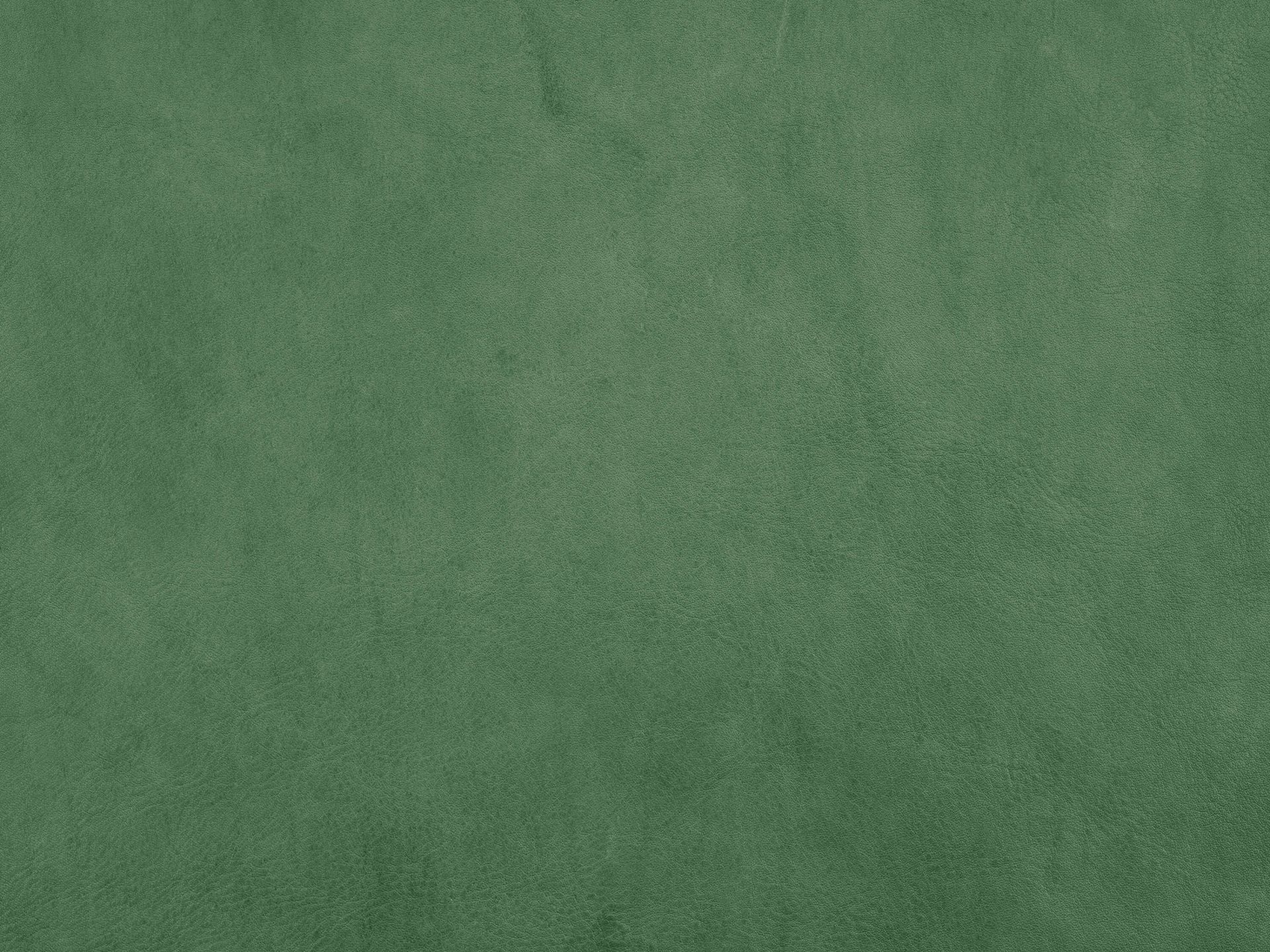 Groen leder Groen leder