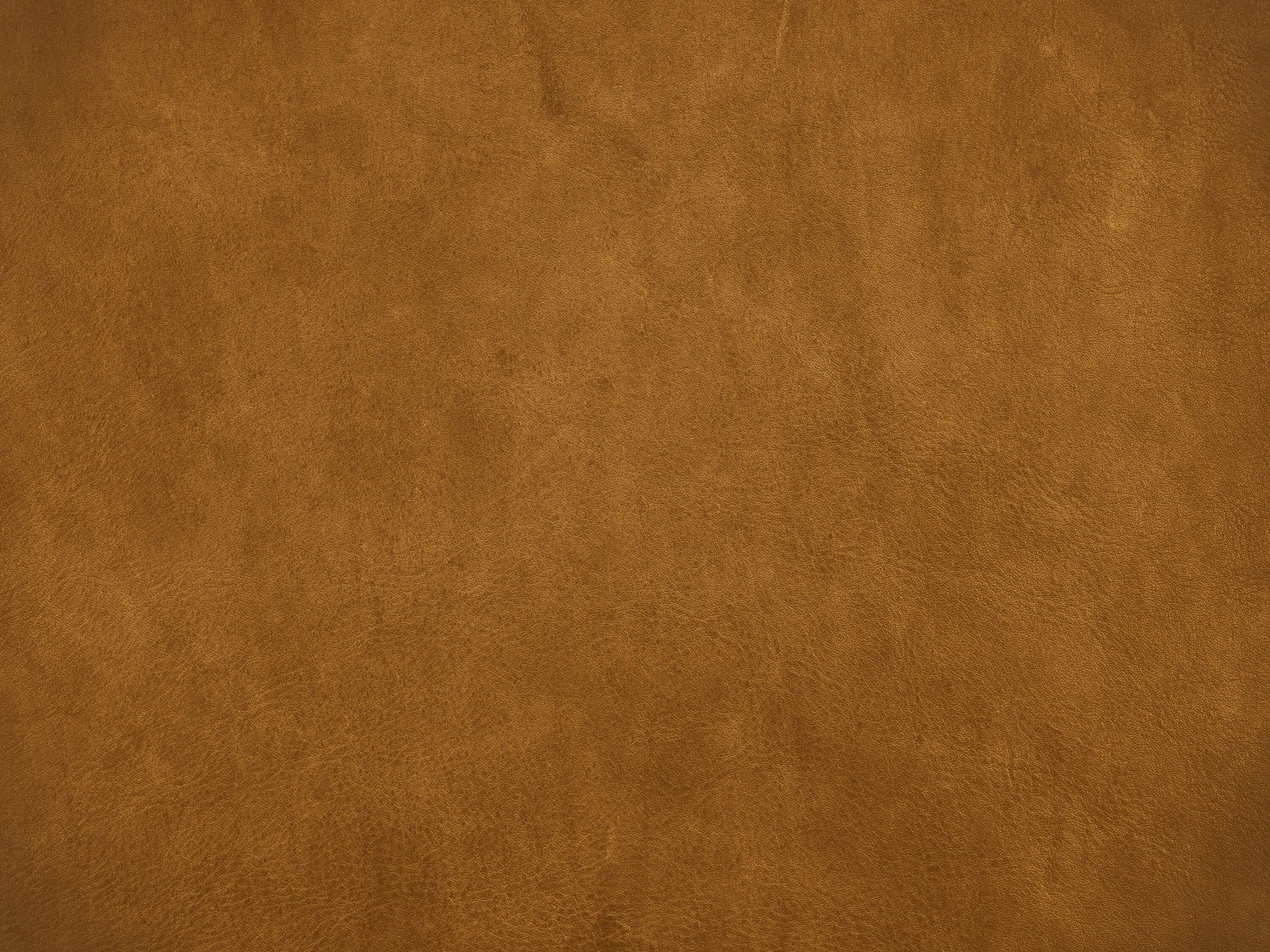 Leder goud main product photo