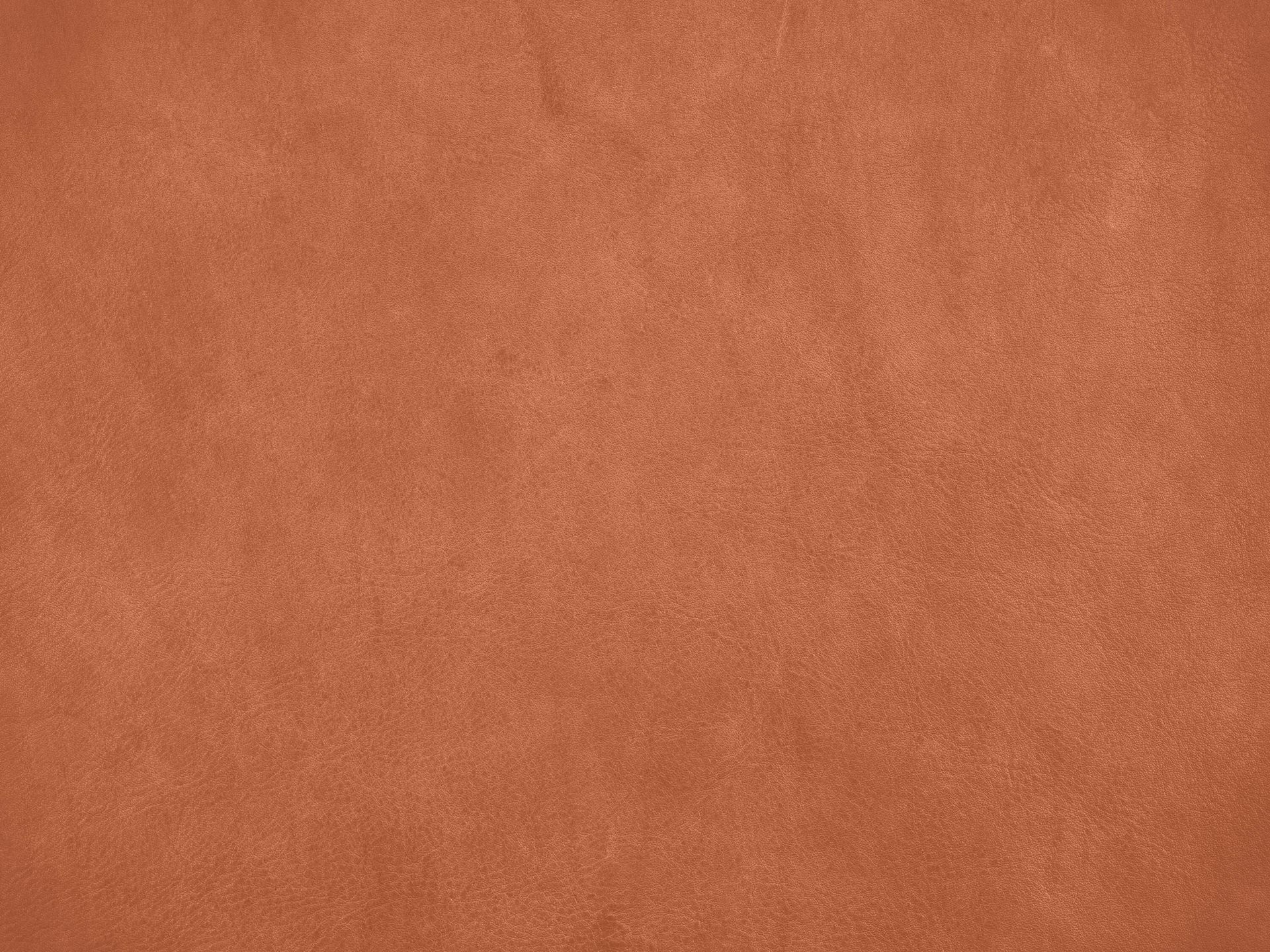 Leren structuur in terracotta kleuren main product photo