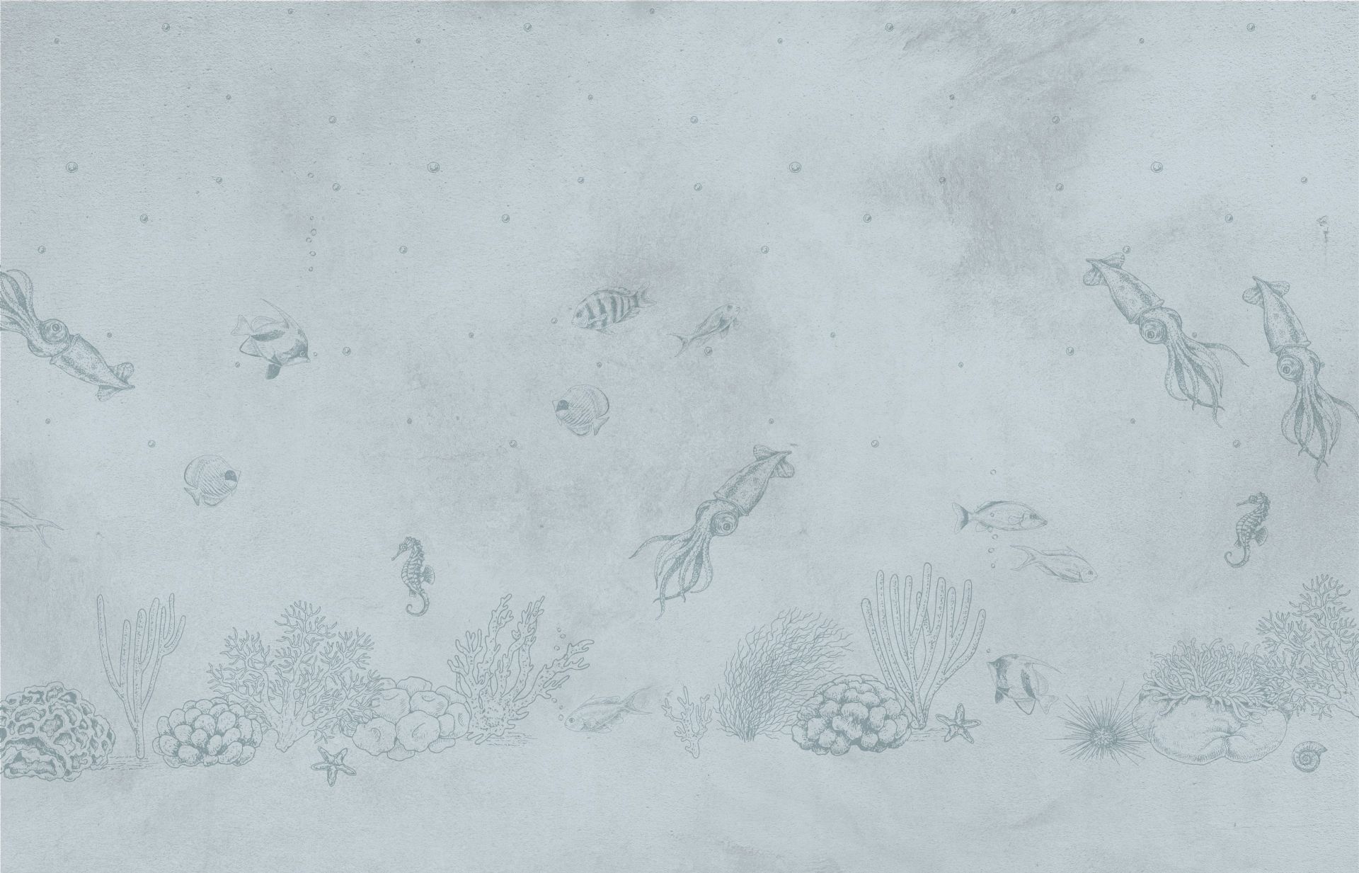 Inktvissen zee blauw main product photo