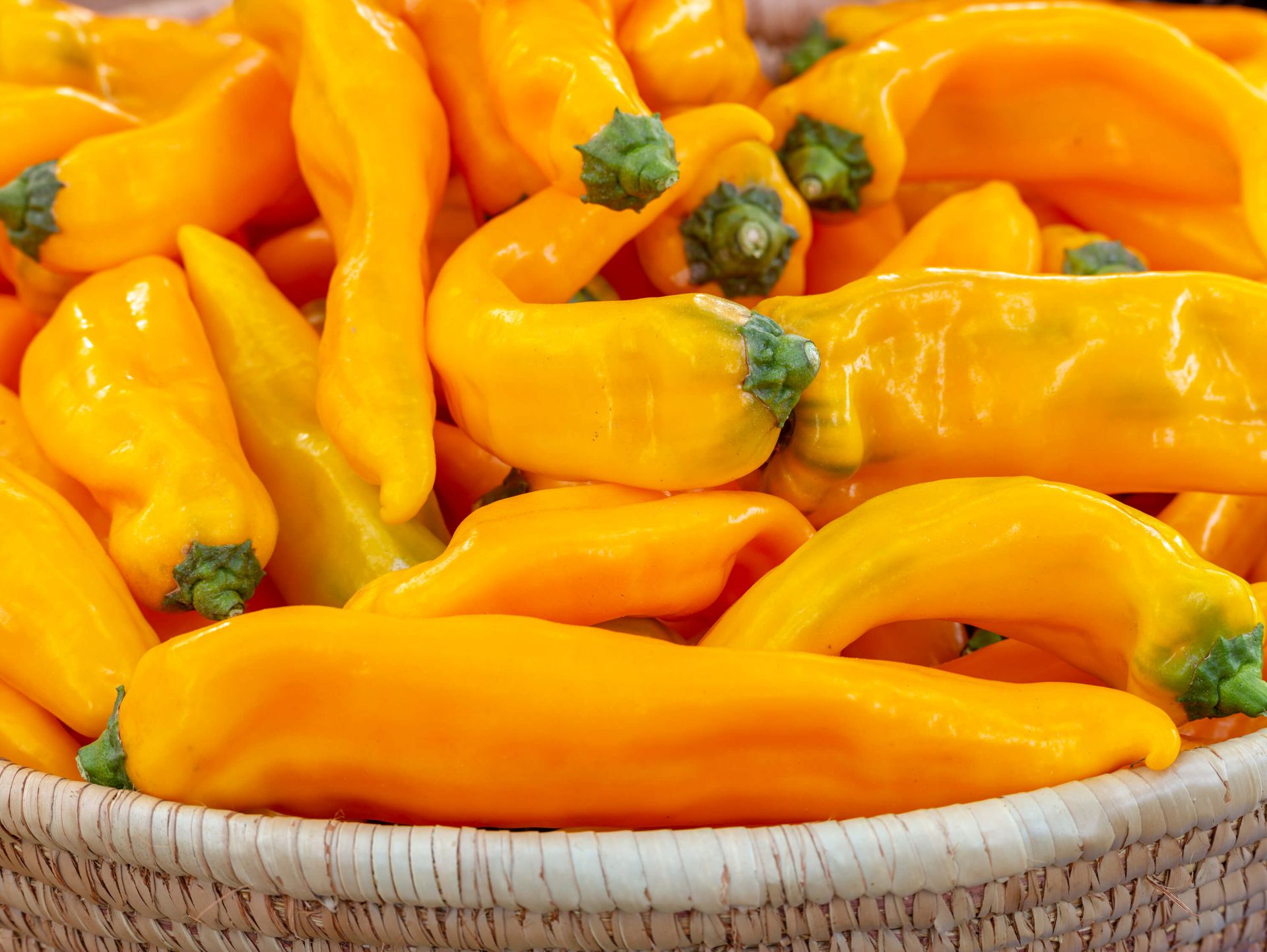 Spaanse peper Spaanse peper