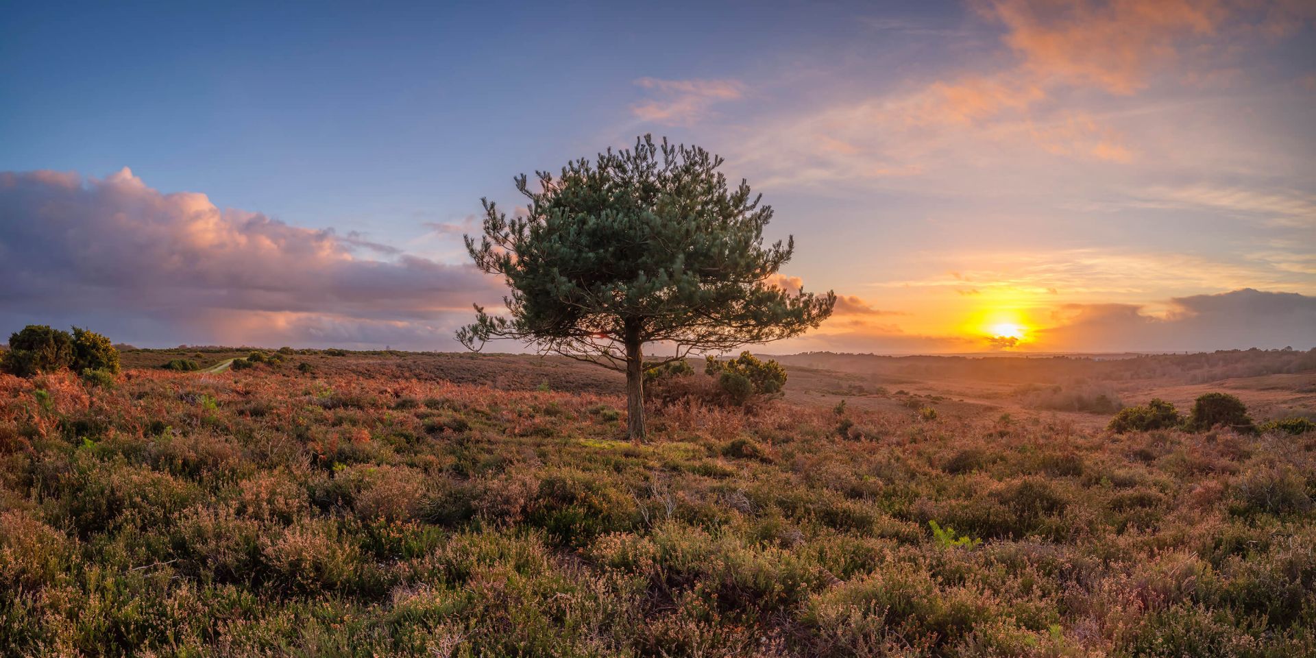 Zonsondergang bij een verlaten gebied main product photo