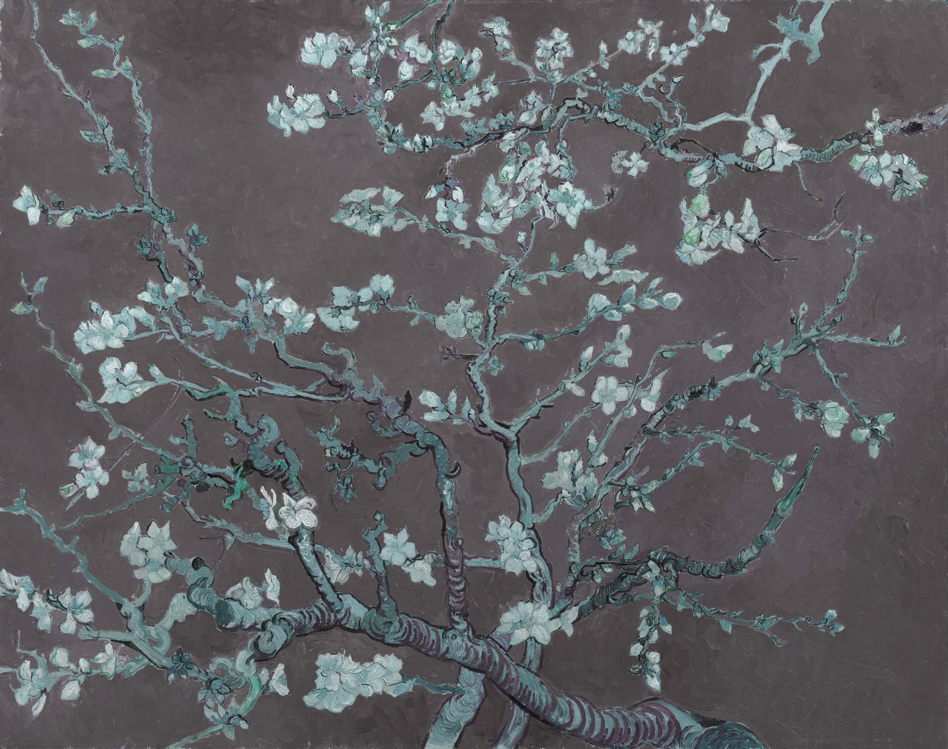 Amandelbloesem met blauwe tint Amandelbloesem met blauwe tint
