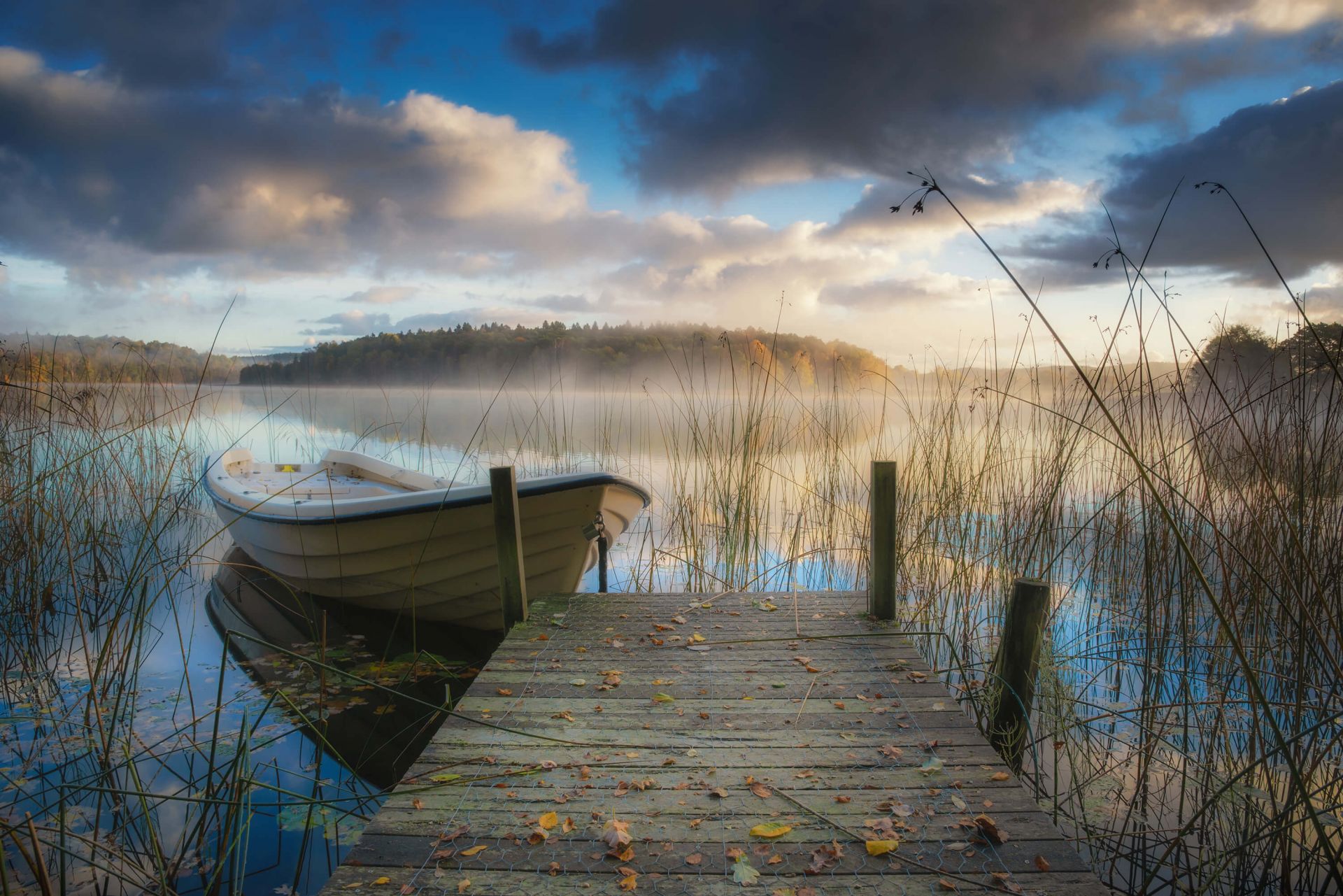 Misty Autumn Dreams Misty Autumn Dreams