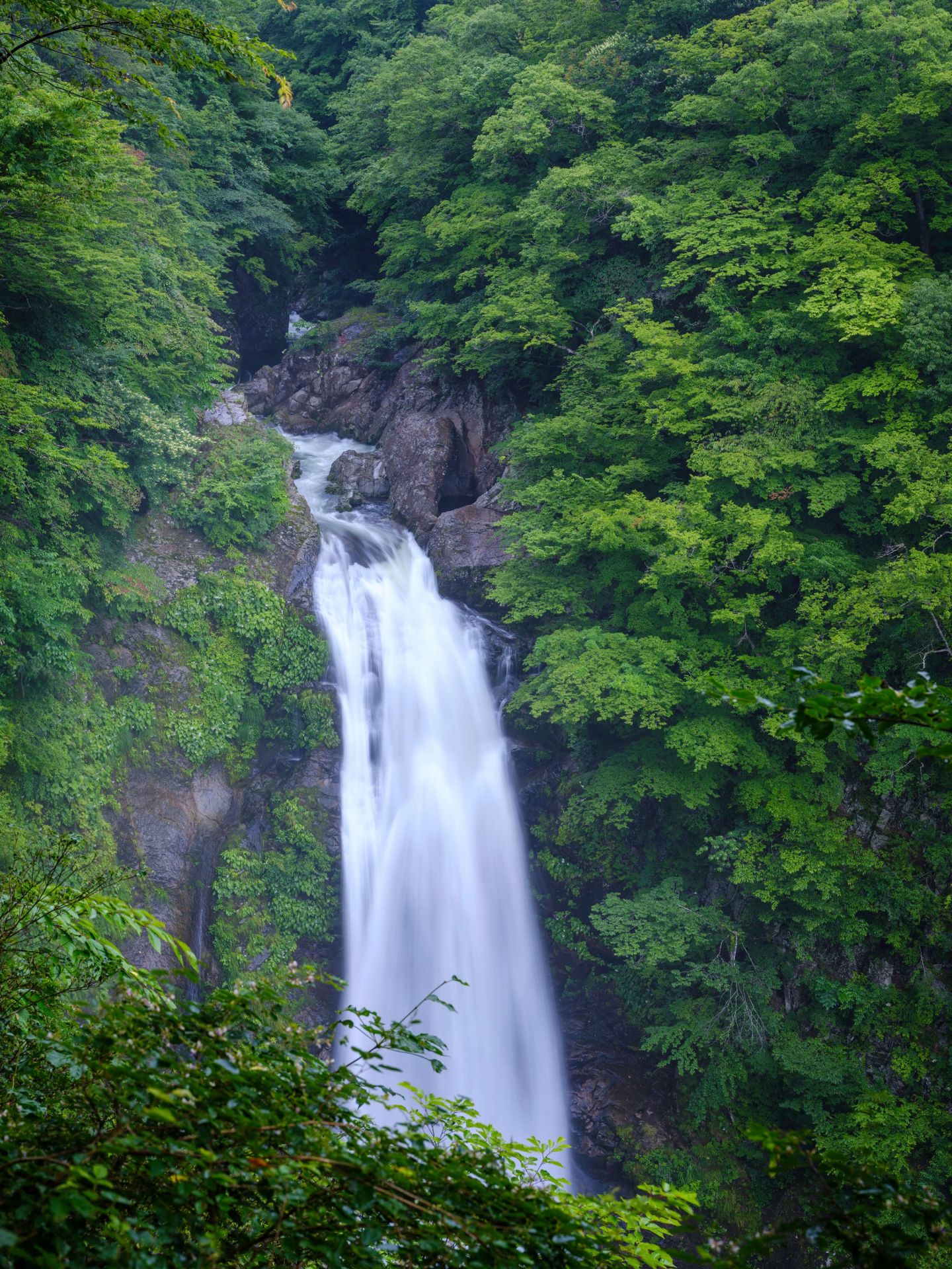 Dichtbegroeide waterval Dichtbegroeide waterval