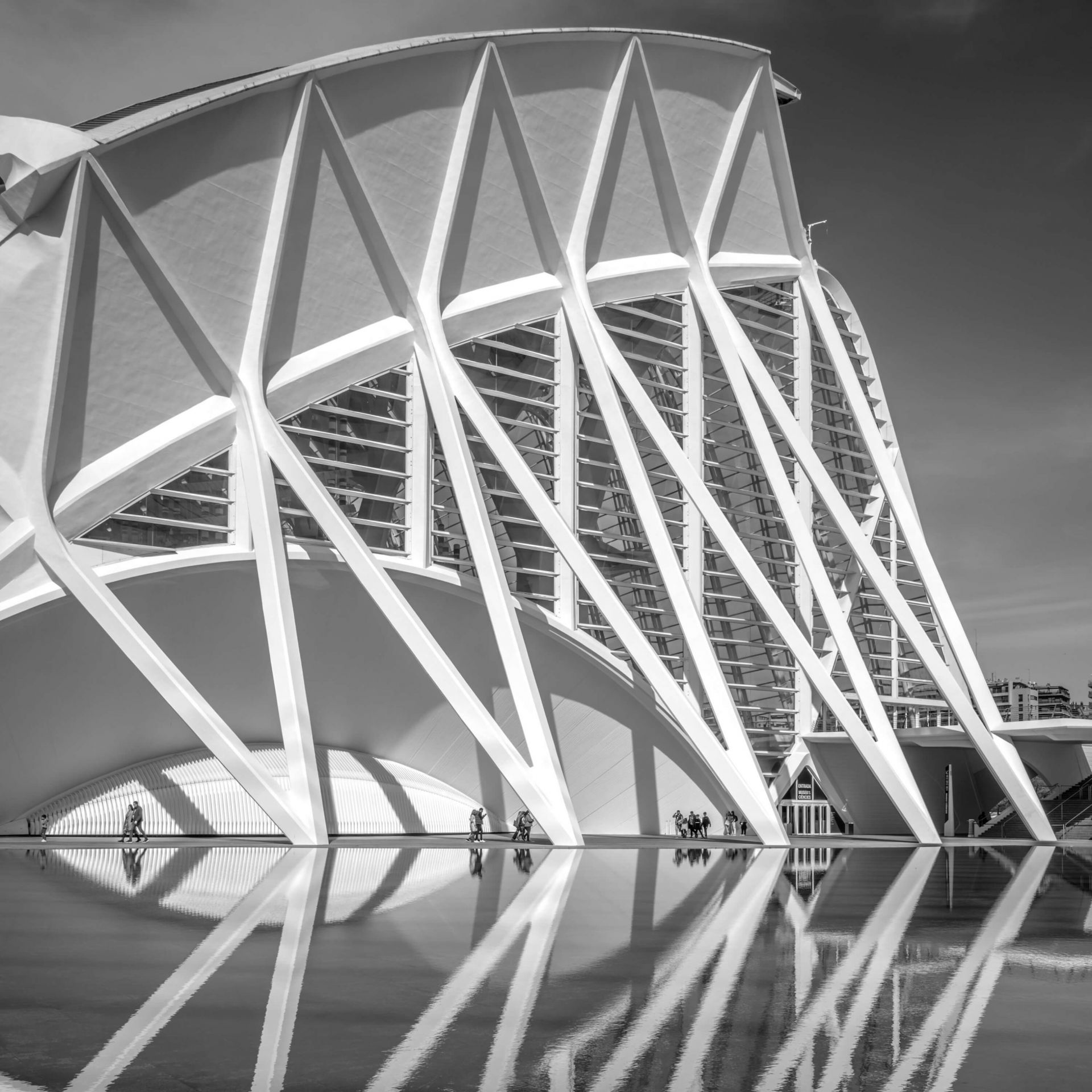 Wetenschapsmuseum - Museo de las Ciencas Principe Felipe - Valencia Wetenschapsmuseum - Museo de las Ciencas Principe Felipe - Valencia