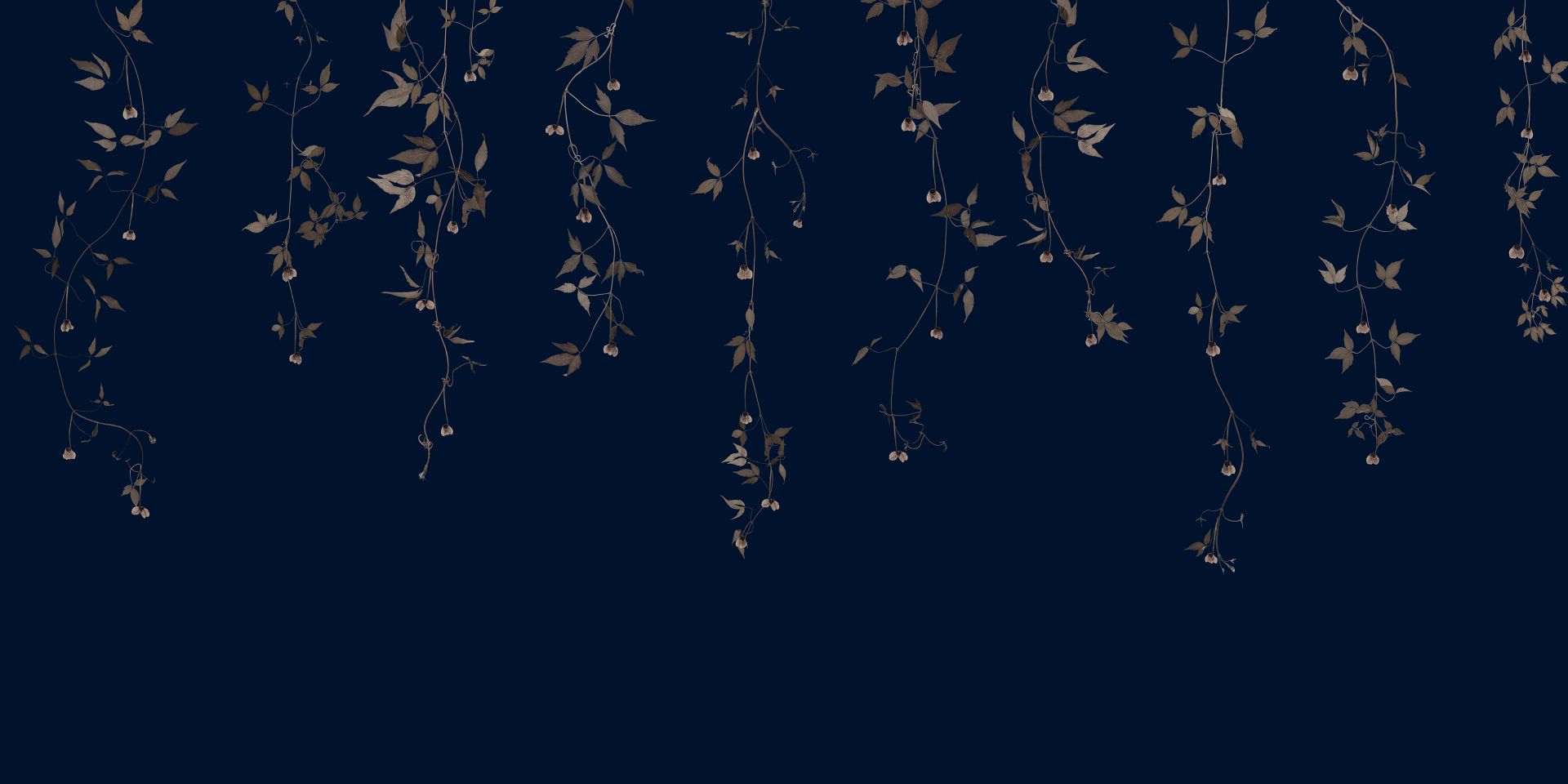 Clematis twijgen op midnight blue Clematis twijgen op midnight blue