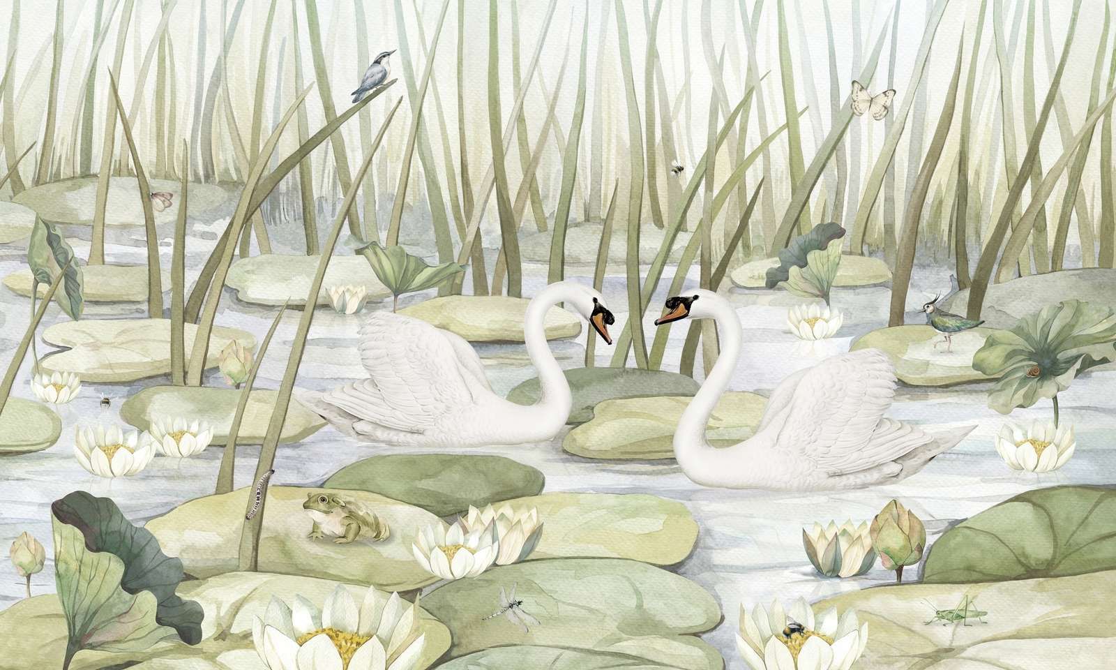 Spectacular Swans Spectacular Swans