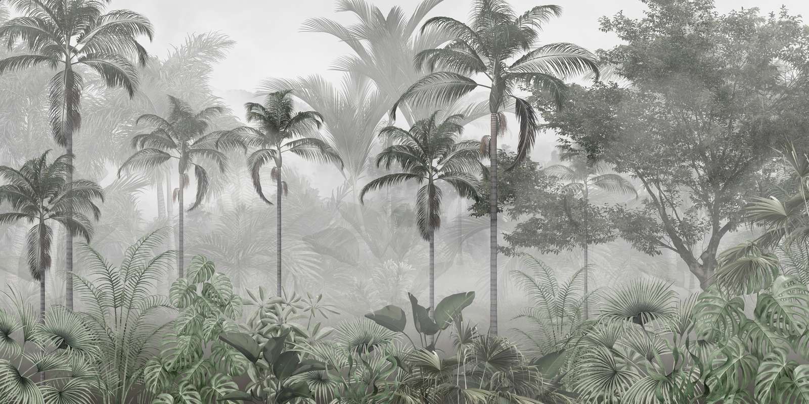 Nevelig Palmbos Nevelig Palmbos