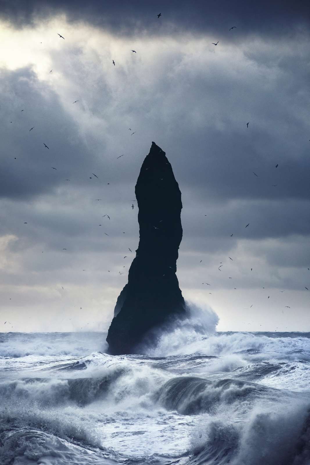 Resist the ocean Resist the ocean