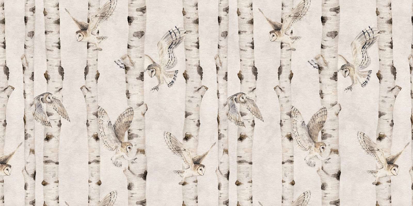 Birch and Owls - White