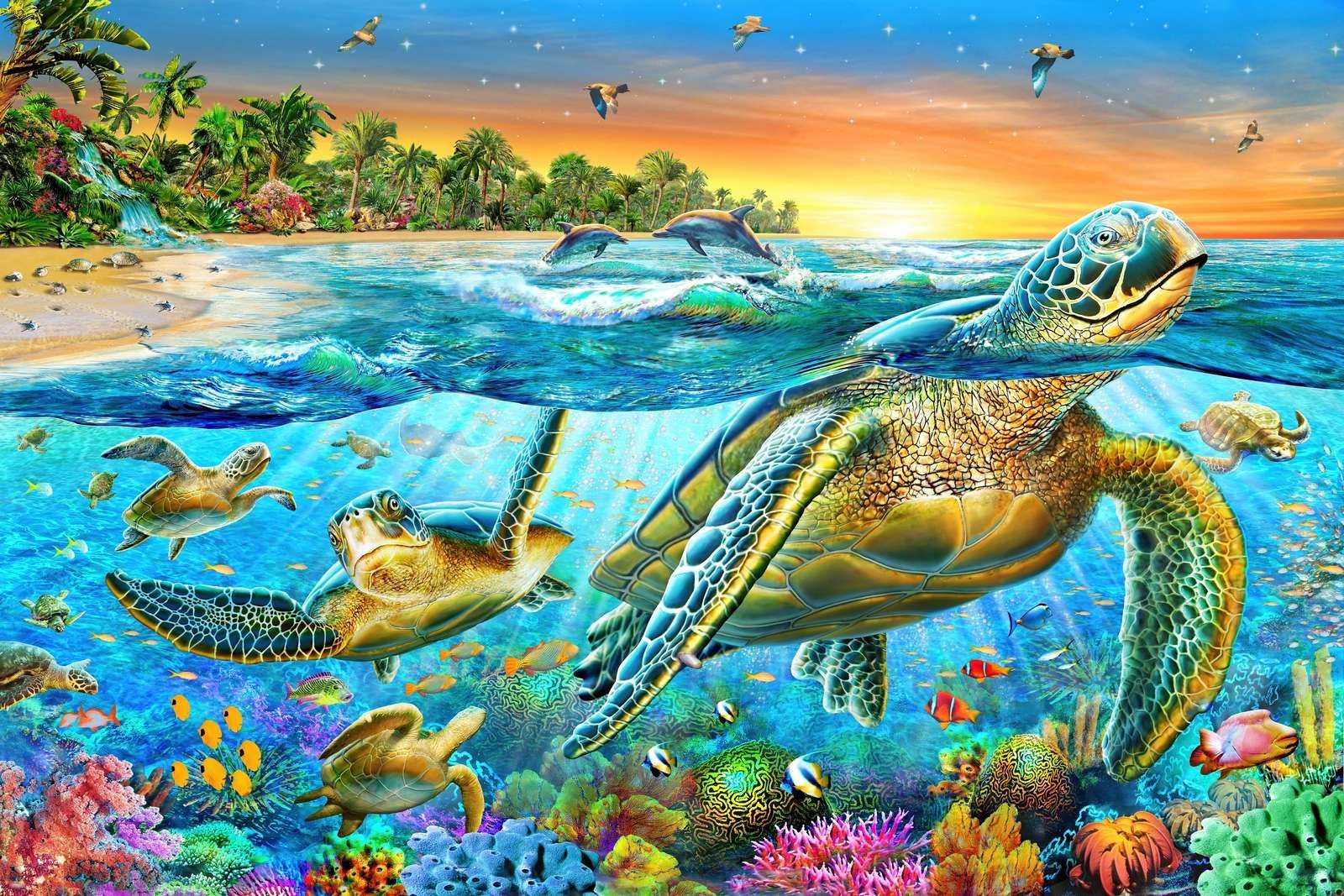 Underwater Turtles Underwater Turtles