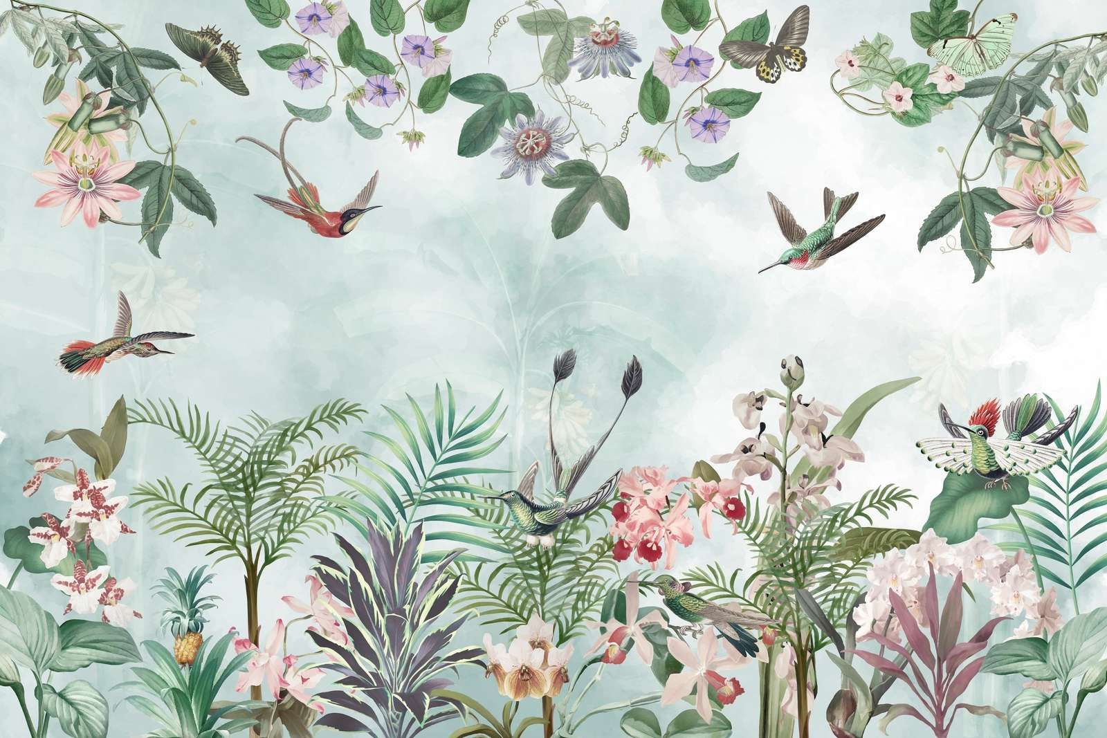 Tropic and Orchids 4