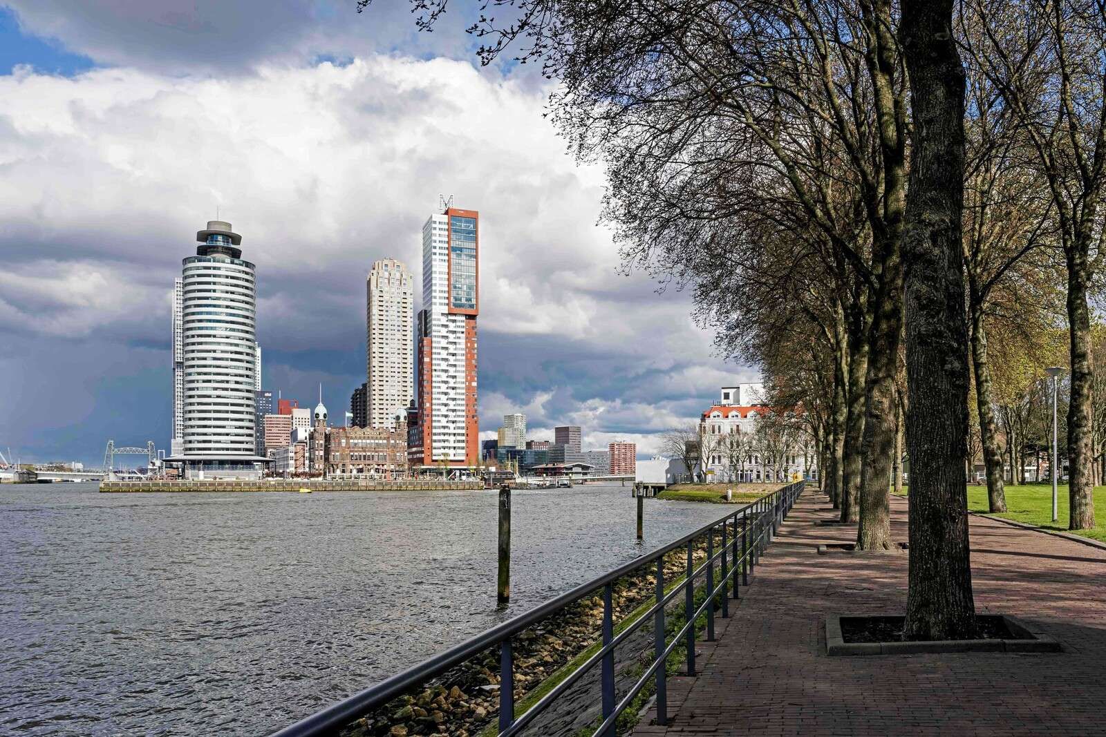 Rotterdamse Skyline vanaf de Kade