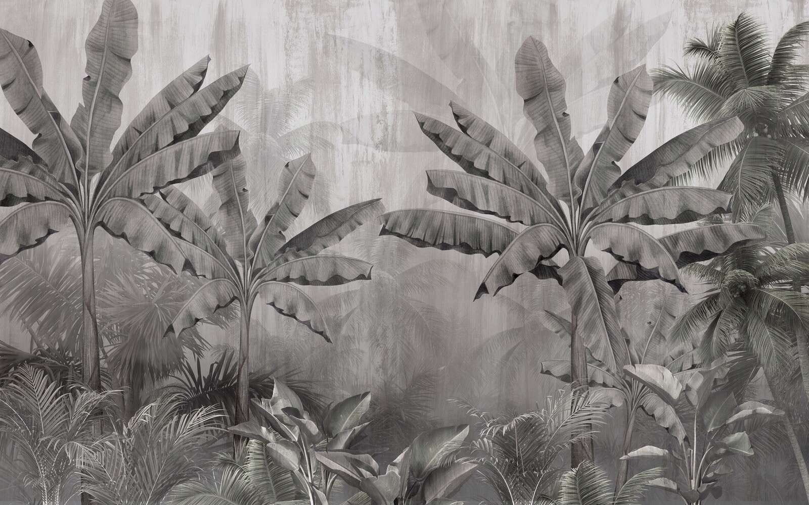 Tropische Nevelpalmen