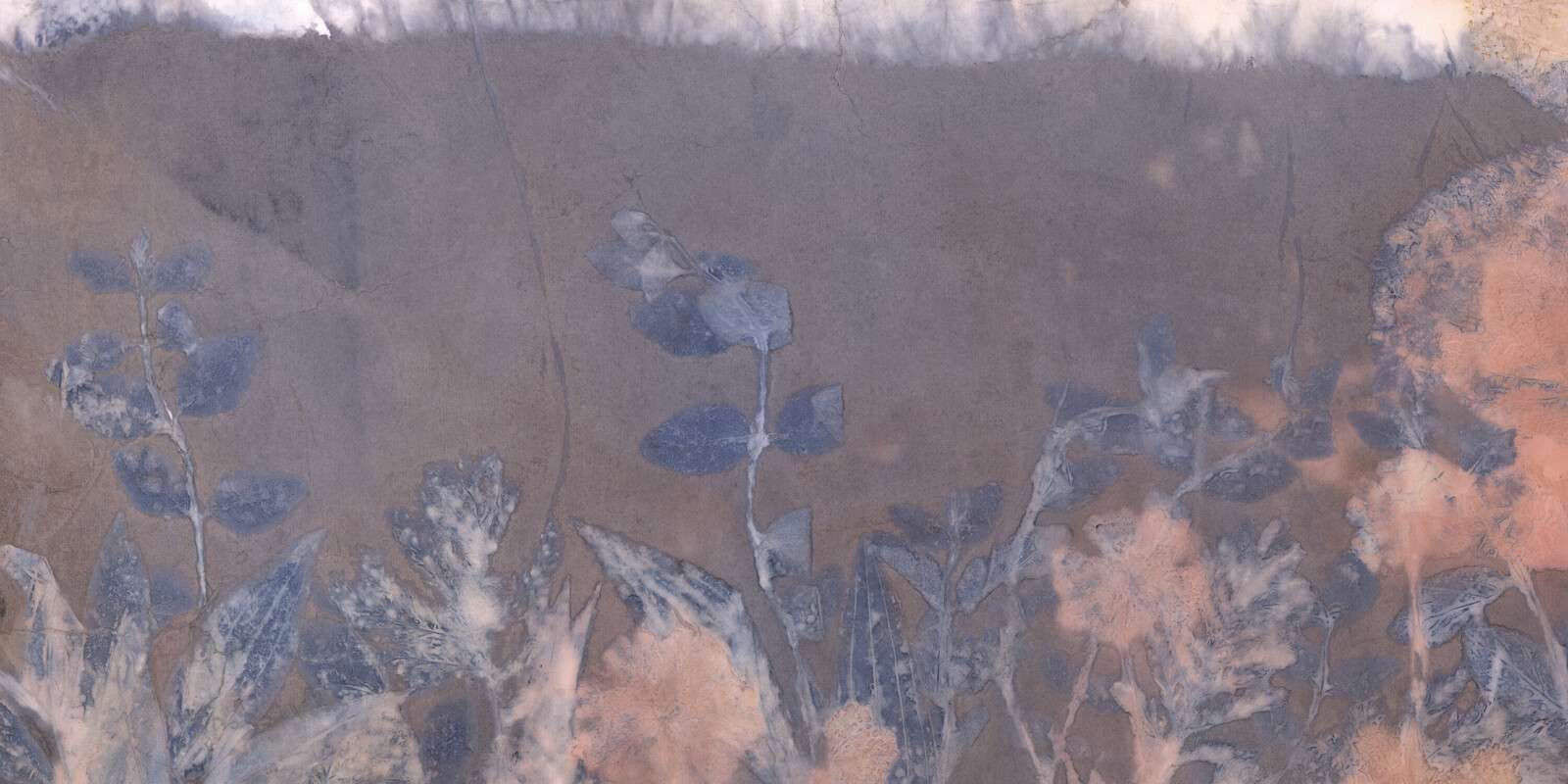 Wilde geranium en sneeuwbes - blauw