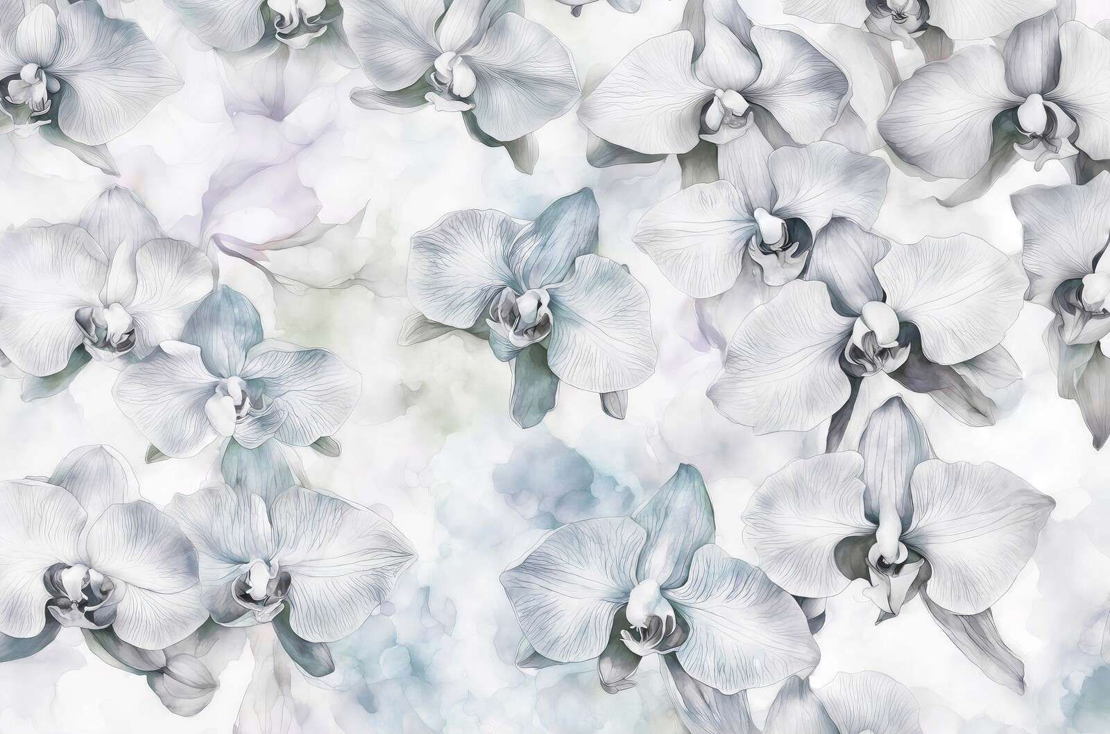Watercolor orchids melodies