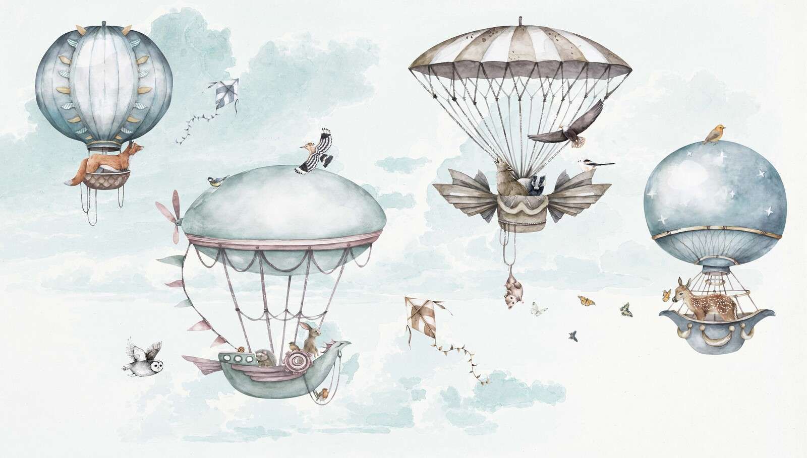 Hot Air Balloon Adventures