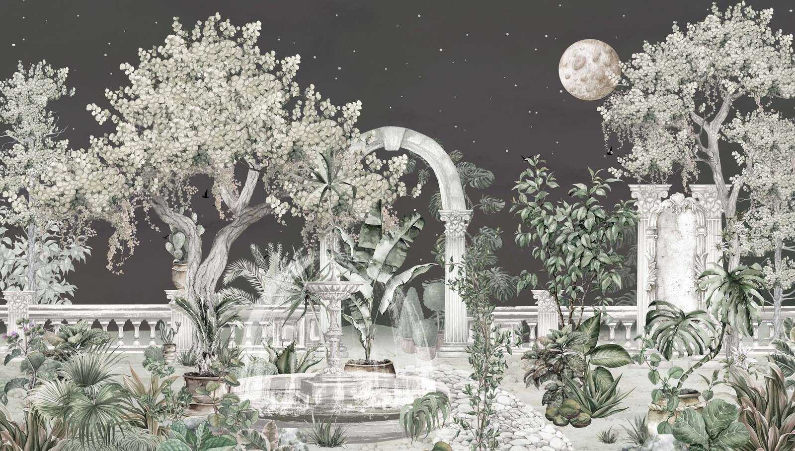 Garden at Night