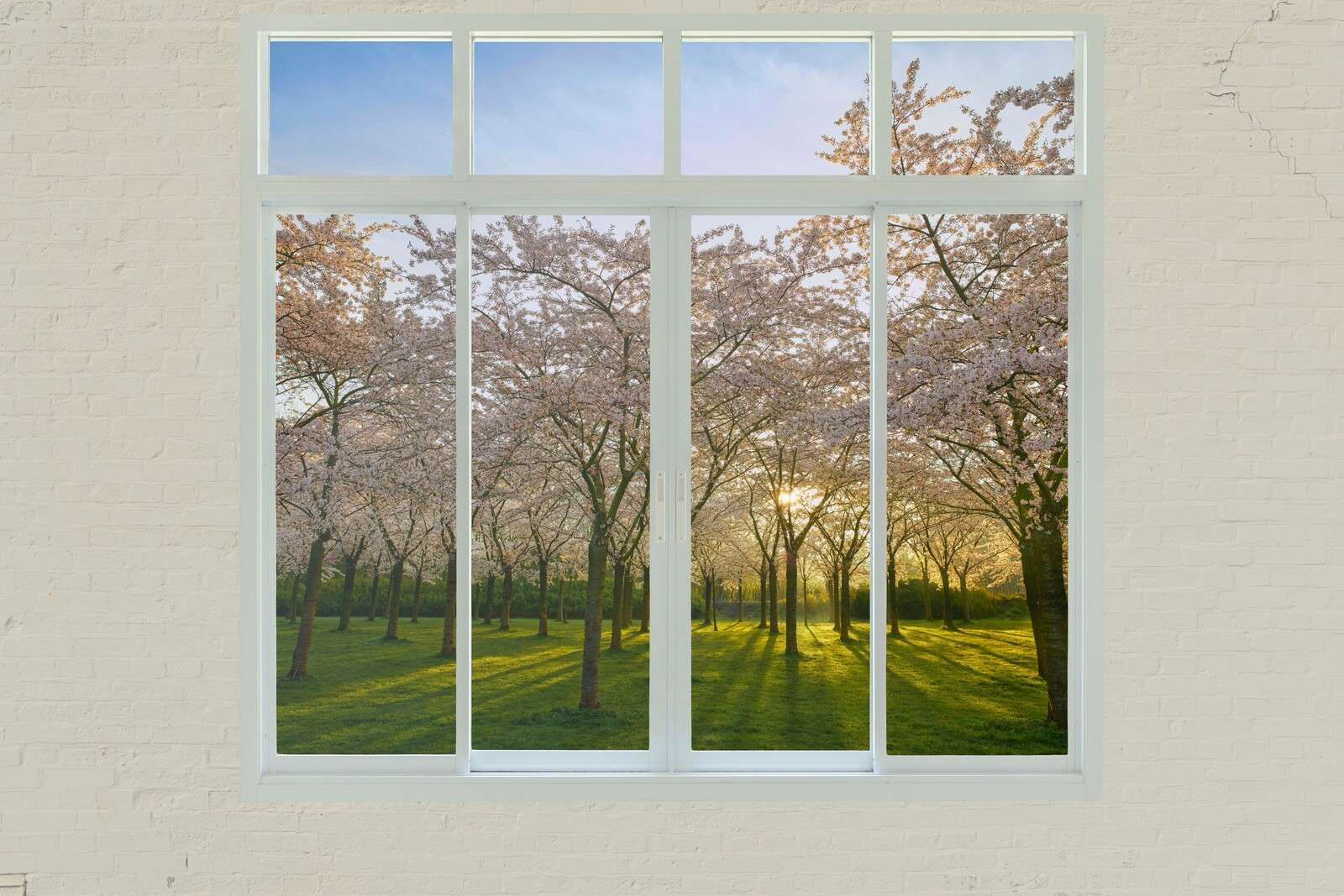 Bloesempark in lentezon