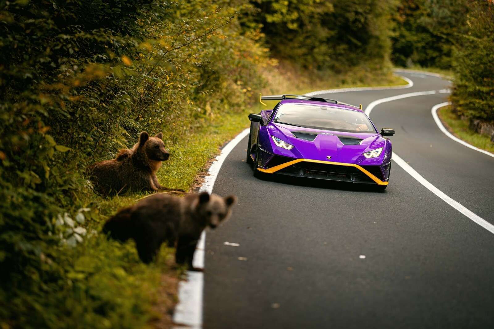 Natuur ontmoet snelheid