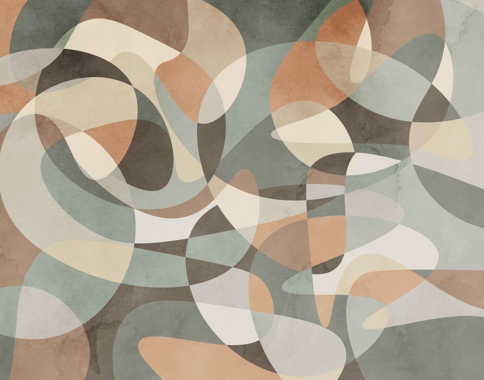 Vloeiende vormen in aarde en mist