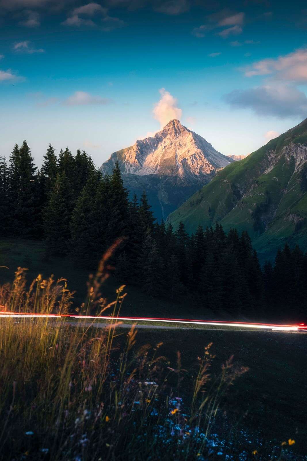 Avondlicht op alpentop met bloemenveld