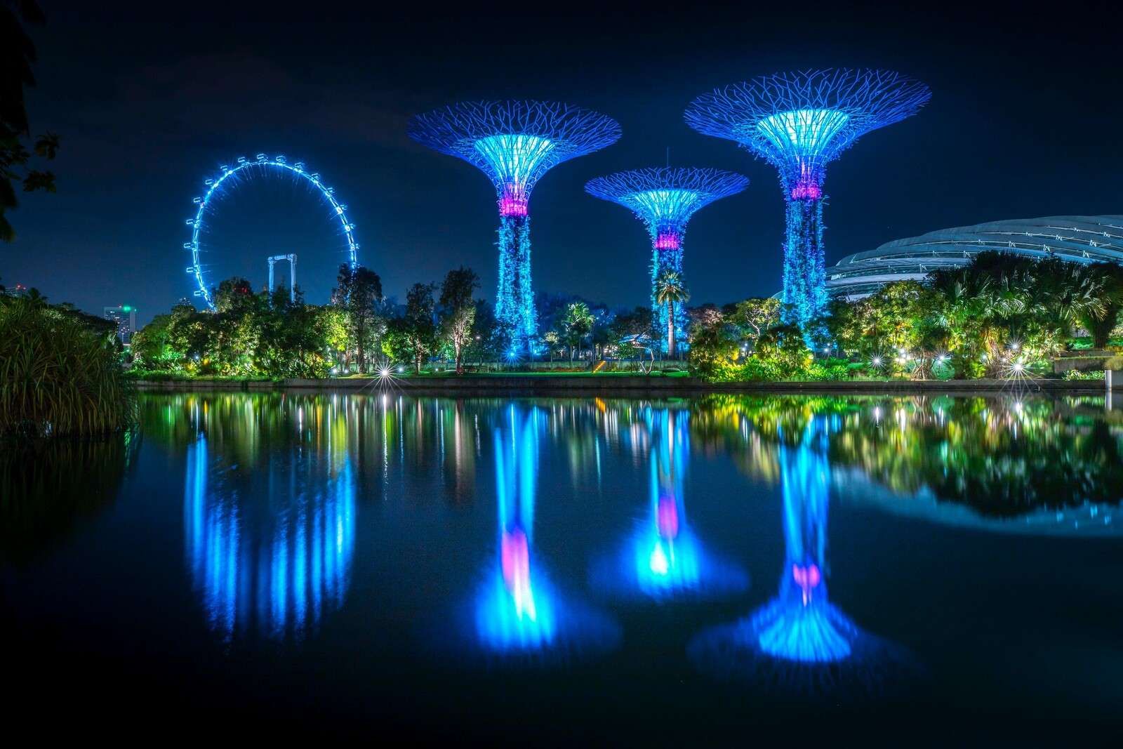 Futuristische lichtbomen aan water