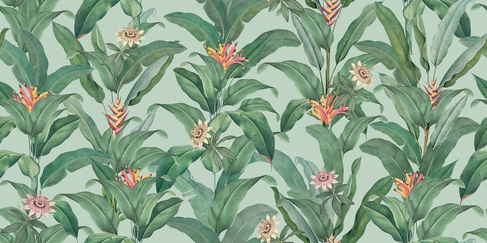 Tropische bladeren met heliconia