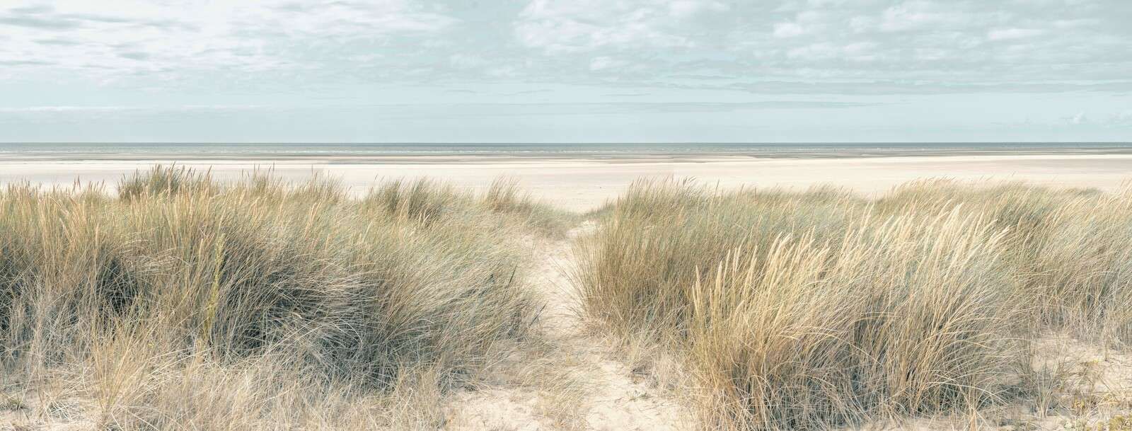 Grassy sand dunes on the sea coast under blue sky