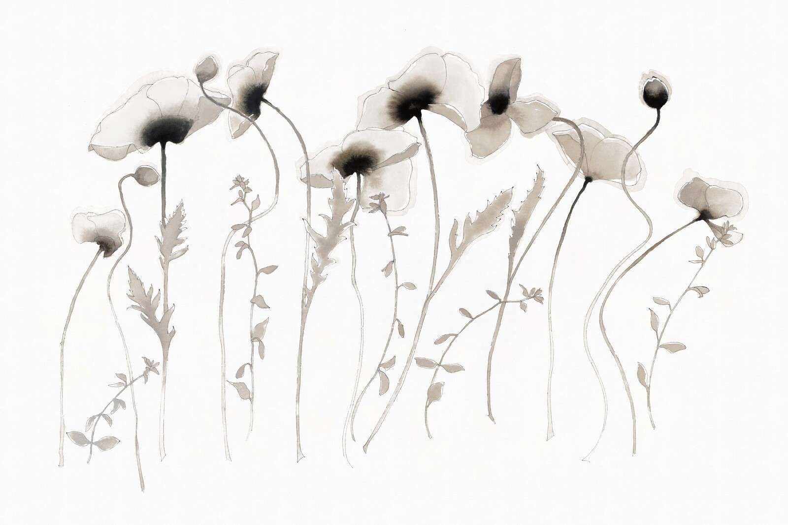 Klaprozen in inktgrijze stilte