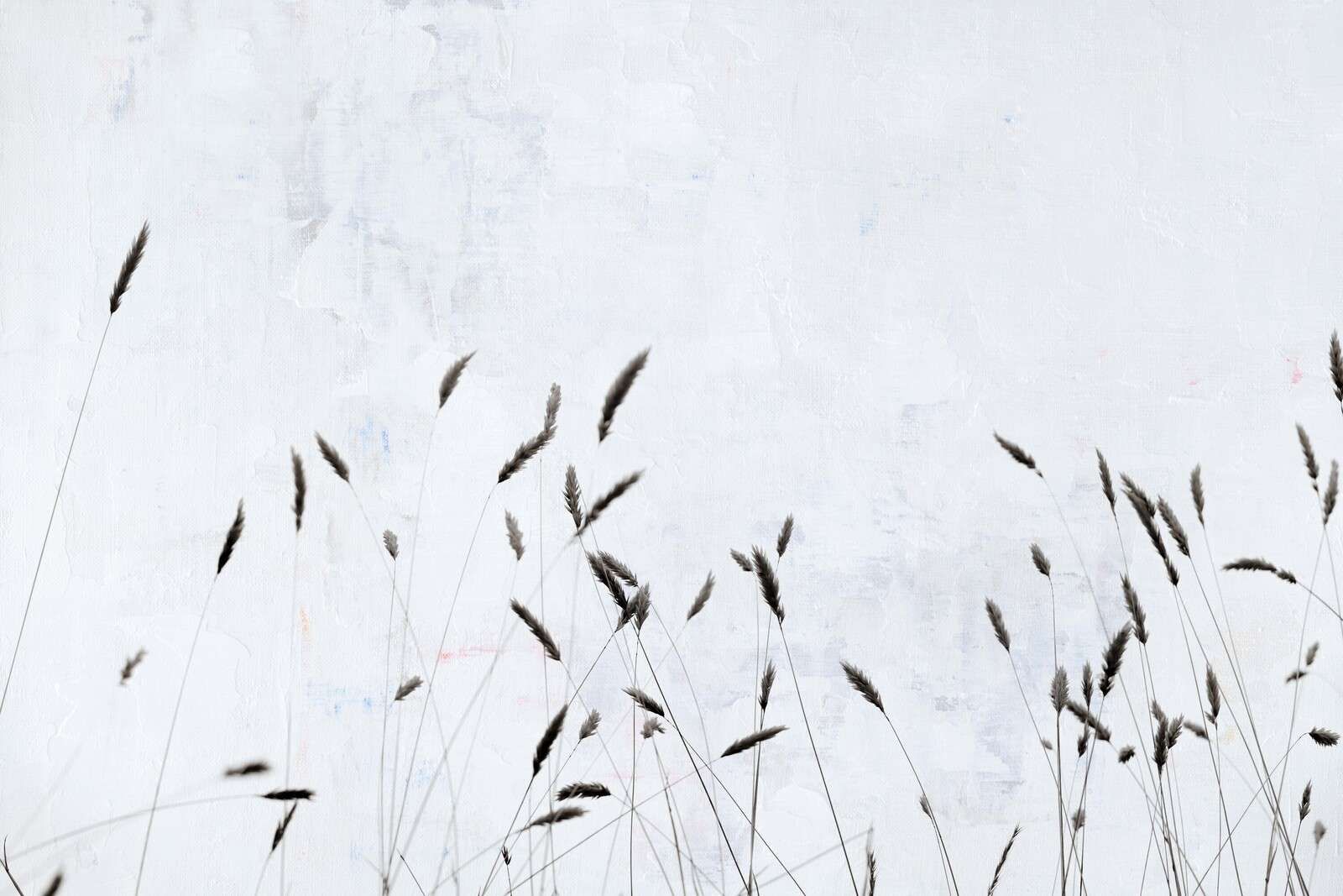 Minimalistisch veldgras in stilte