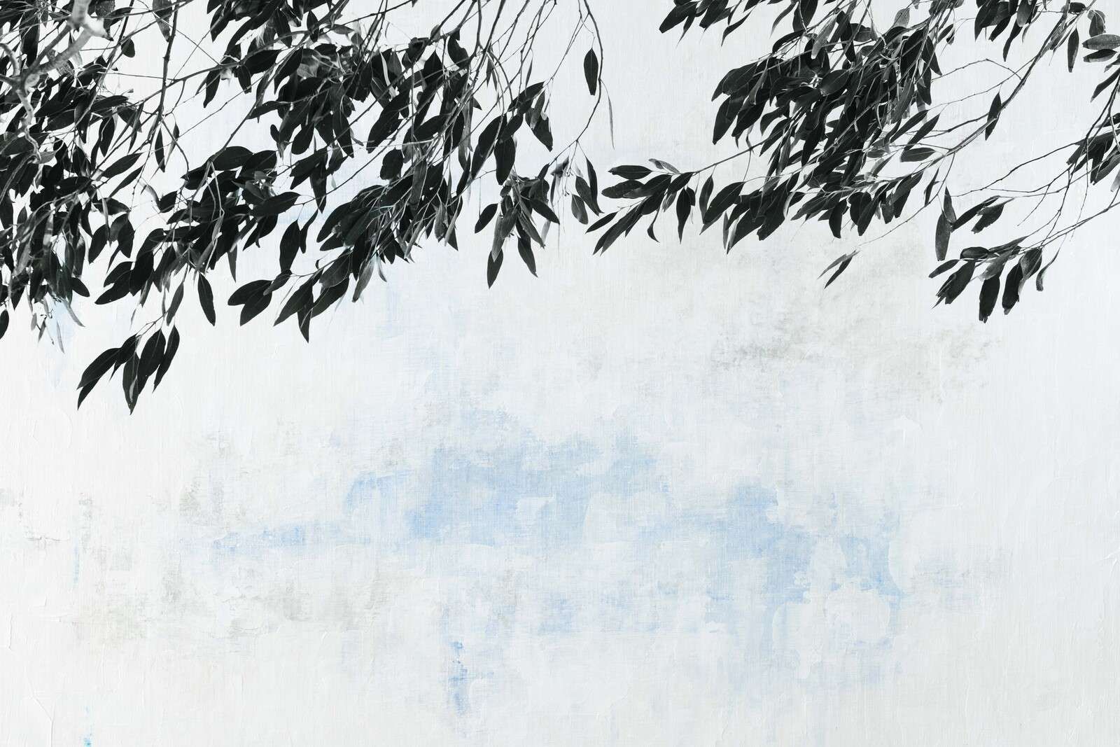 Donkere takken tegen lichte lucht