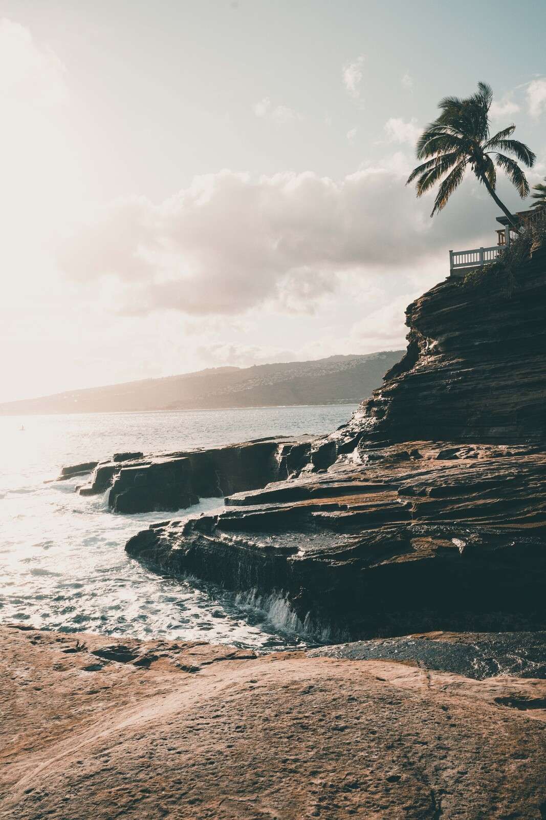 Rotsige kust met eenzame palmboom