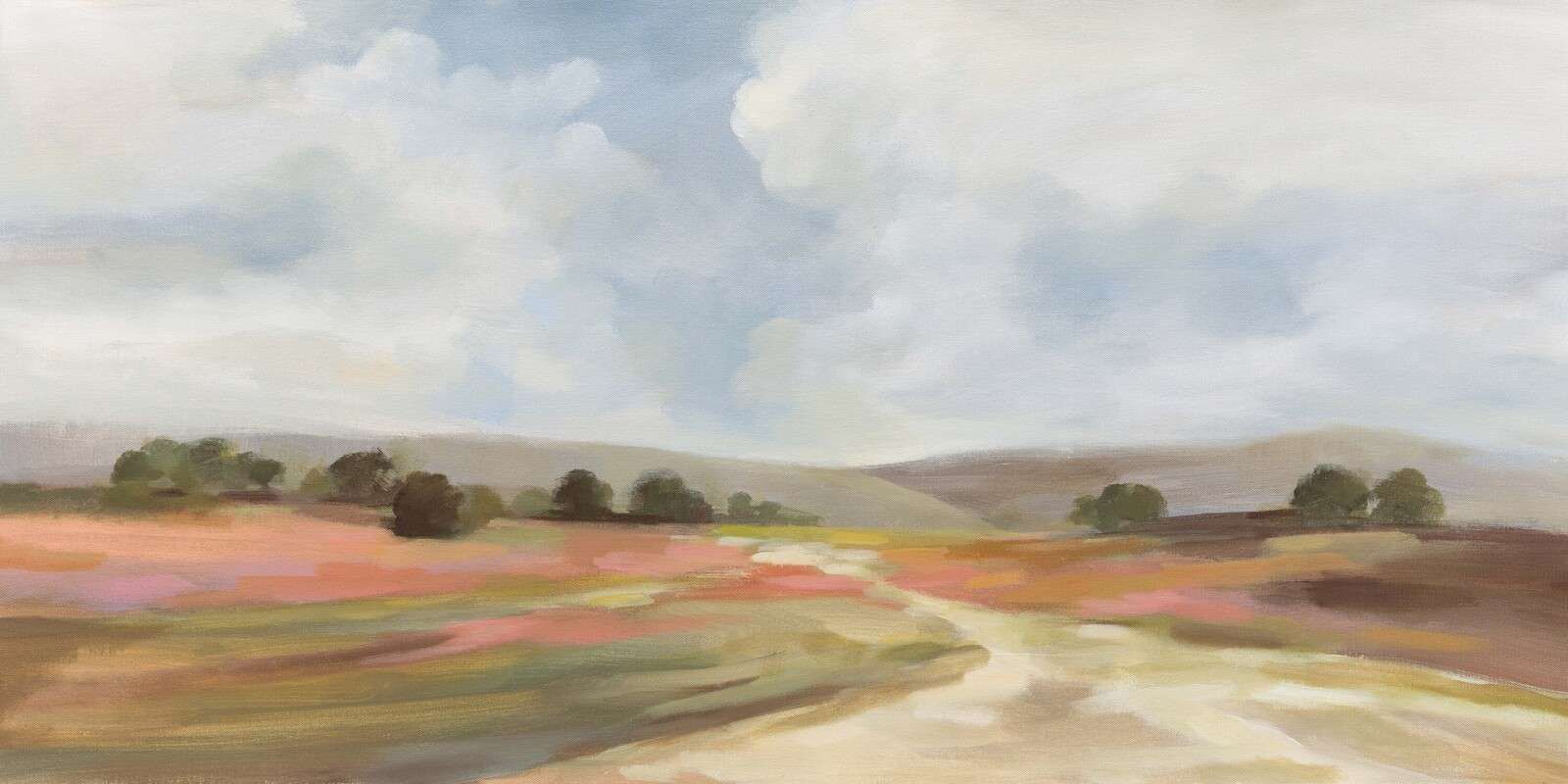 Zomerse heide onder wolkenlucht