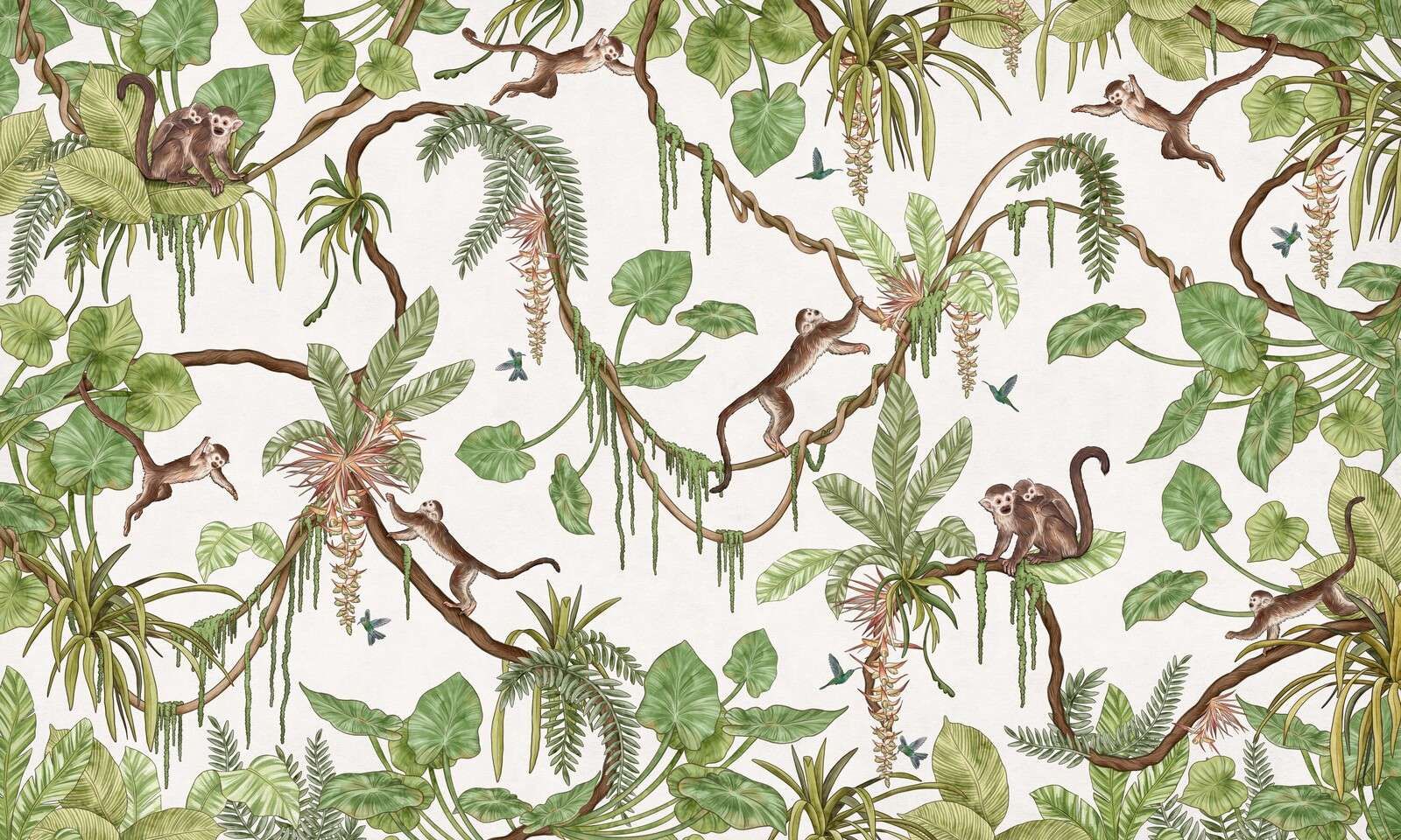 Playful Monkeys - White