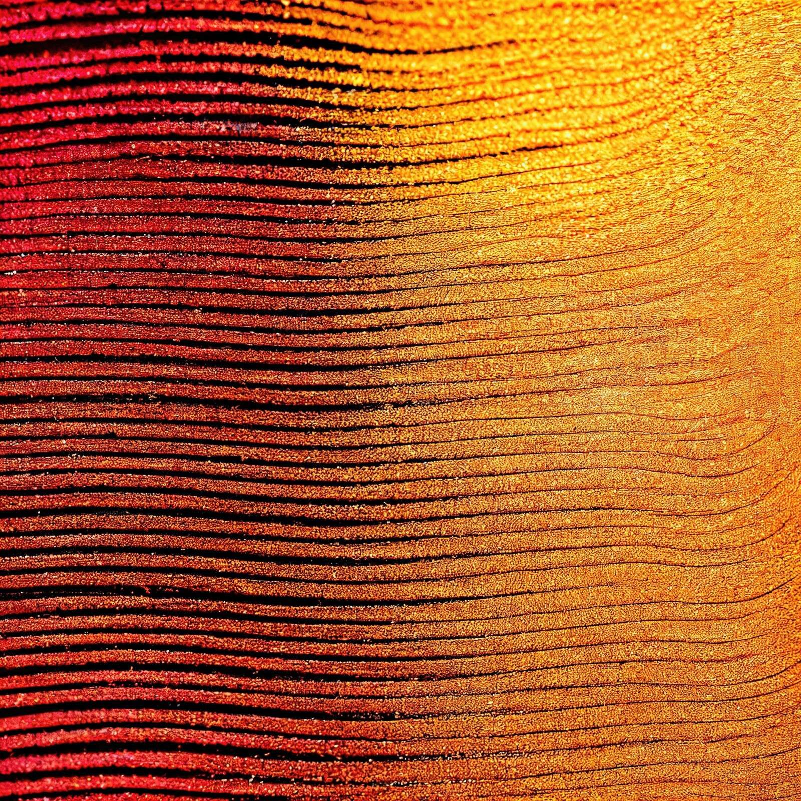 Macro Cobra saffron Flower