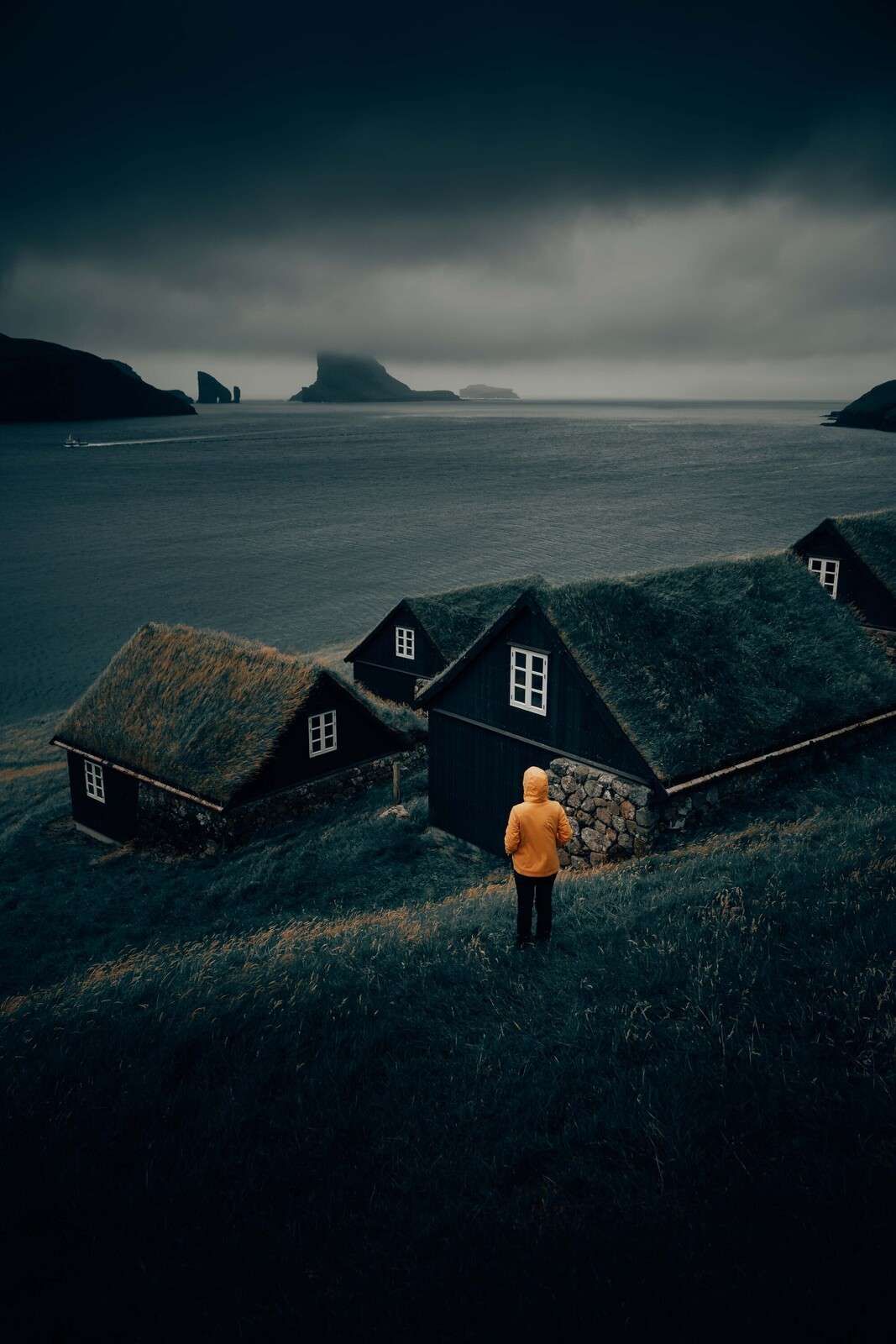 Grasdaken aan noordelijke fjord