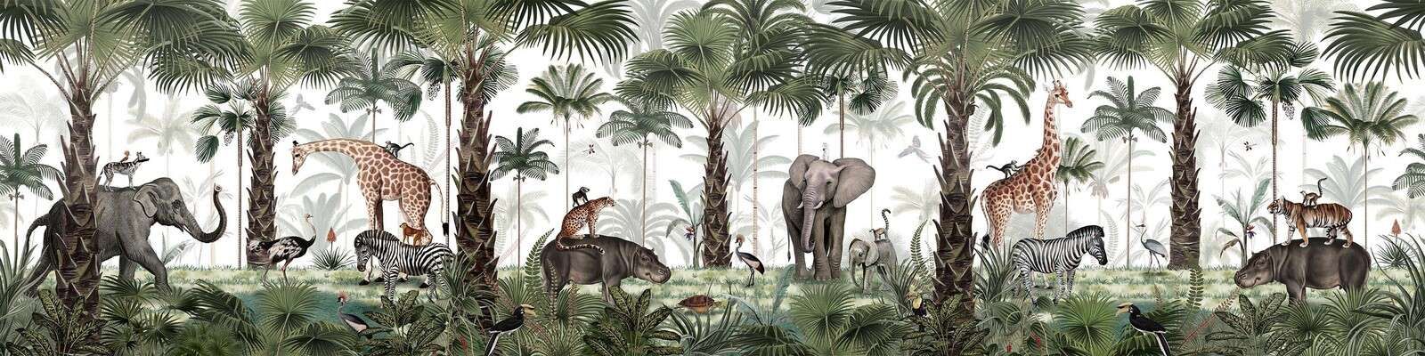 Animal Kingdom - Panorama