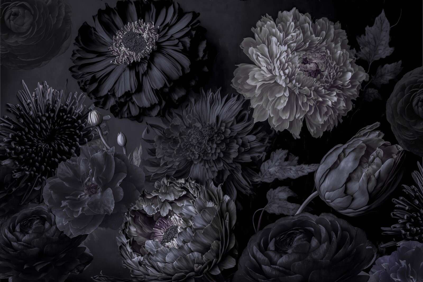 Dark grey moody flowers