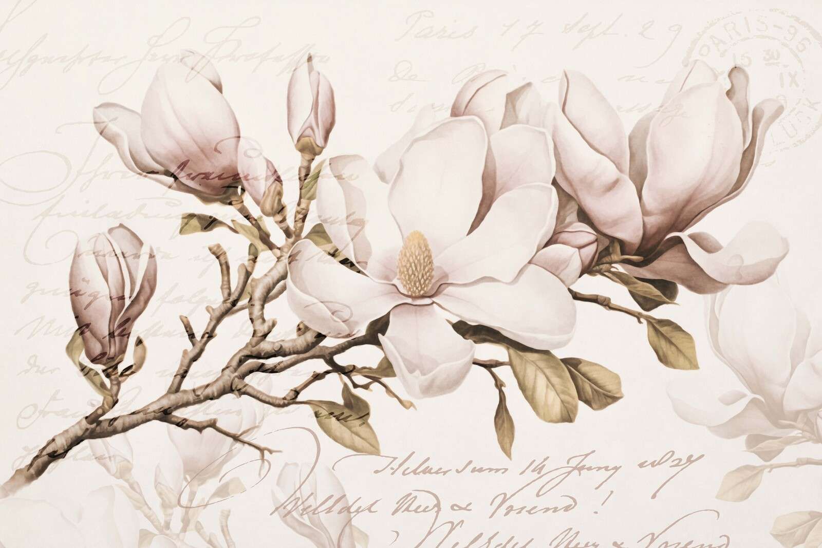 Magnolia spring romance nostalgic flower art