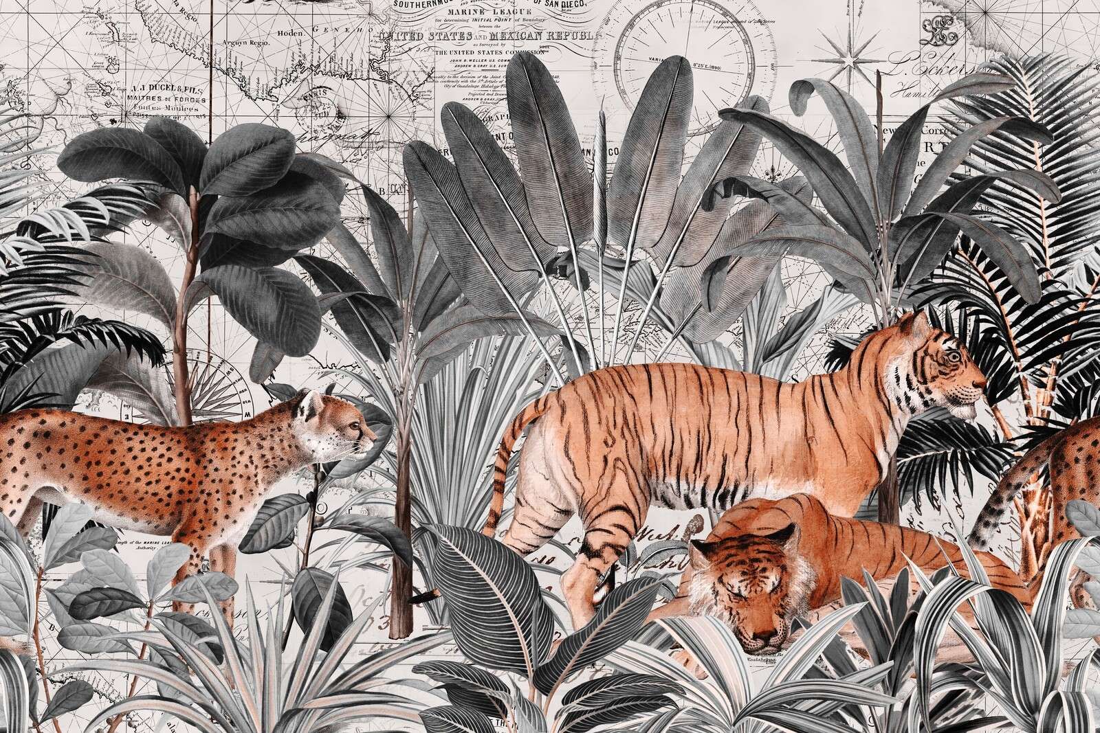 Vintage tiger jungle